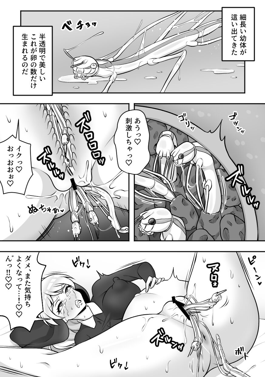 Insect Research Institute 2 - Page 22