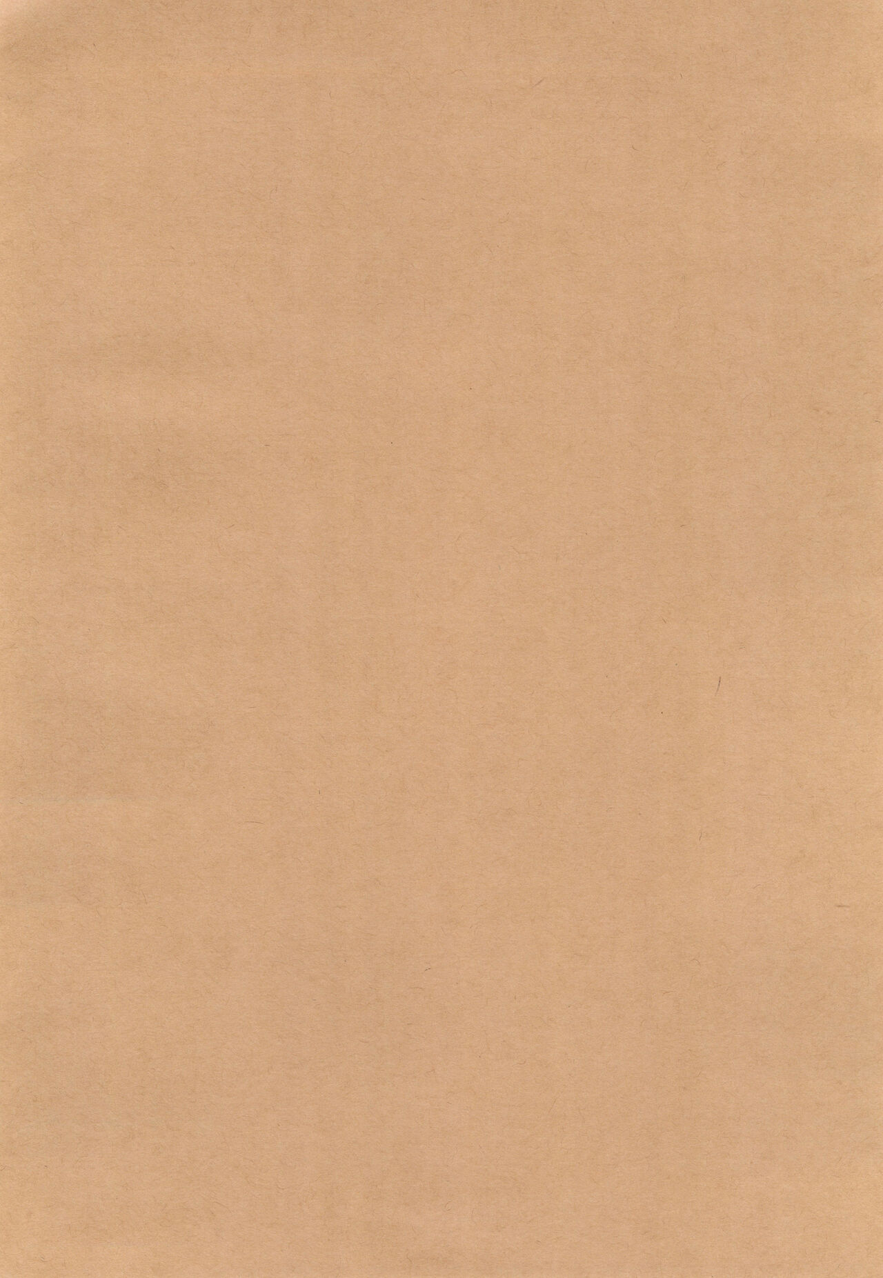 Shujinkou no Koto ga Wayawayawaya Daisuki na Shinyuu de Rival de Koibito to Icha Icha Love Love Ecchi - Page 4