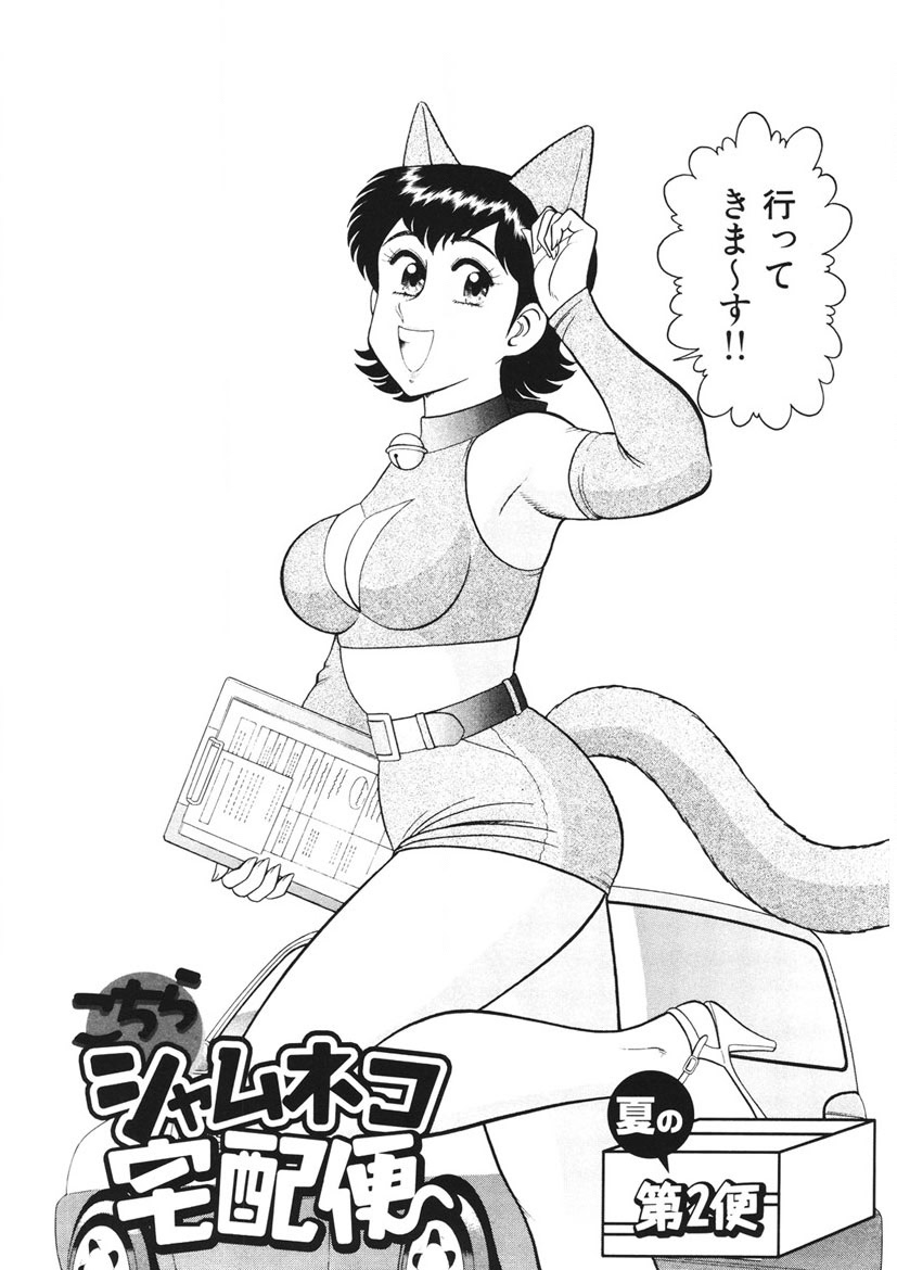 Shamese's Delivery Service page 15 - glasses story arc hentai manga - read online free