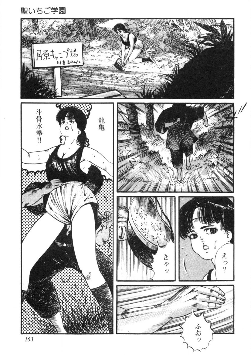 Sei Ichigo Gakuen - Page 164