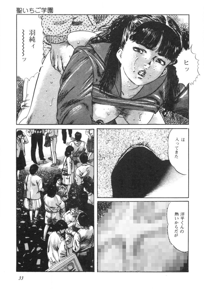 Sei Ichigo Gakuen page 34 - story arc tankoubon hentai manga - read online free