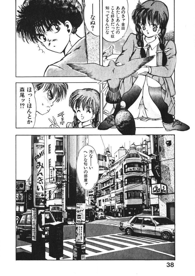 Otome no Onegai Vol. 2 - Page 37