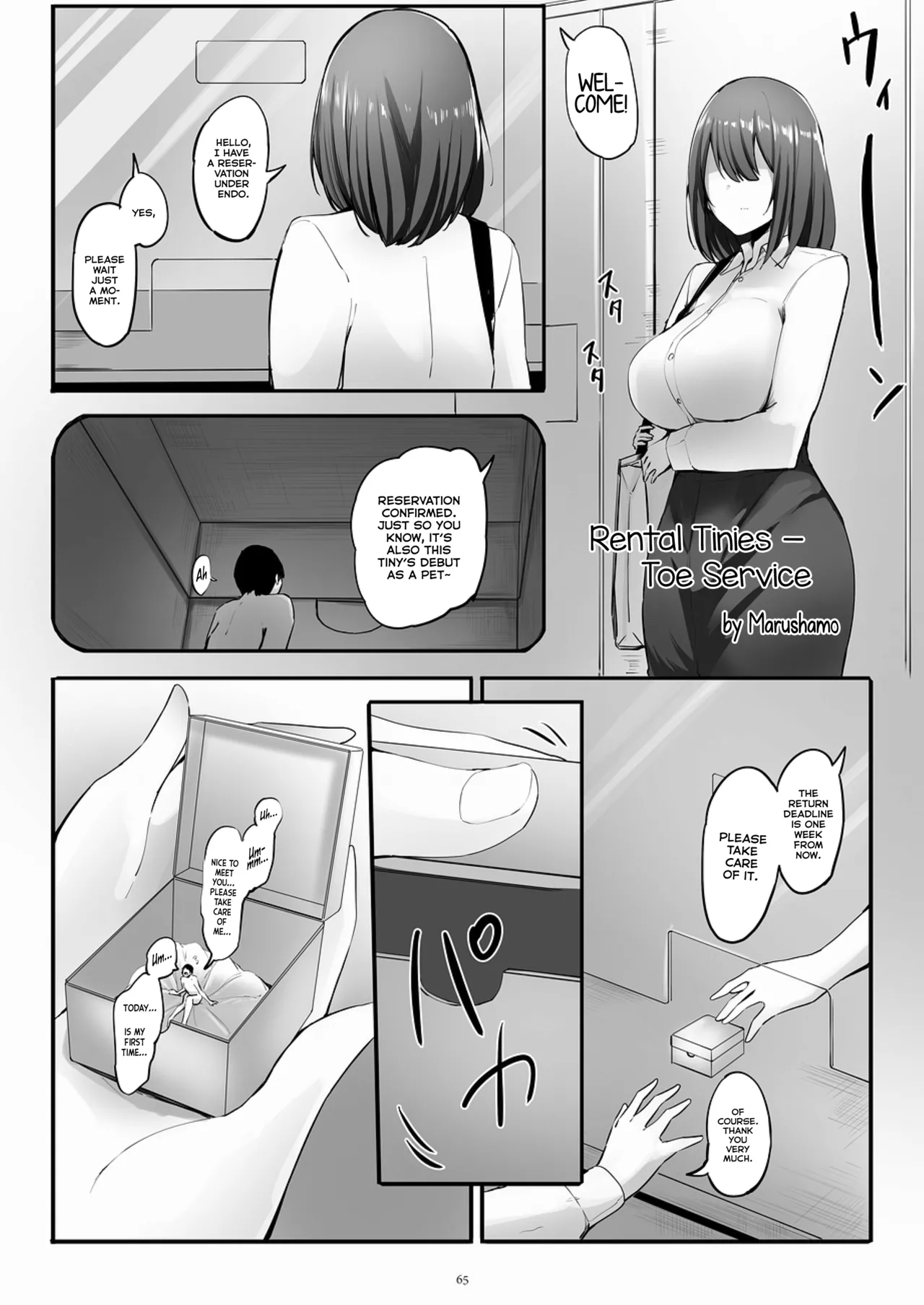 Rental Tinies - Toe Service - Page 1