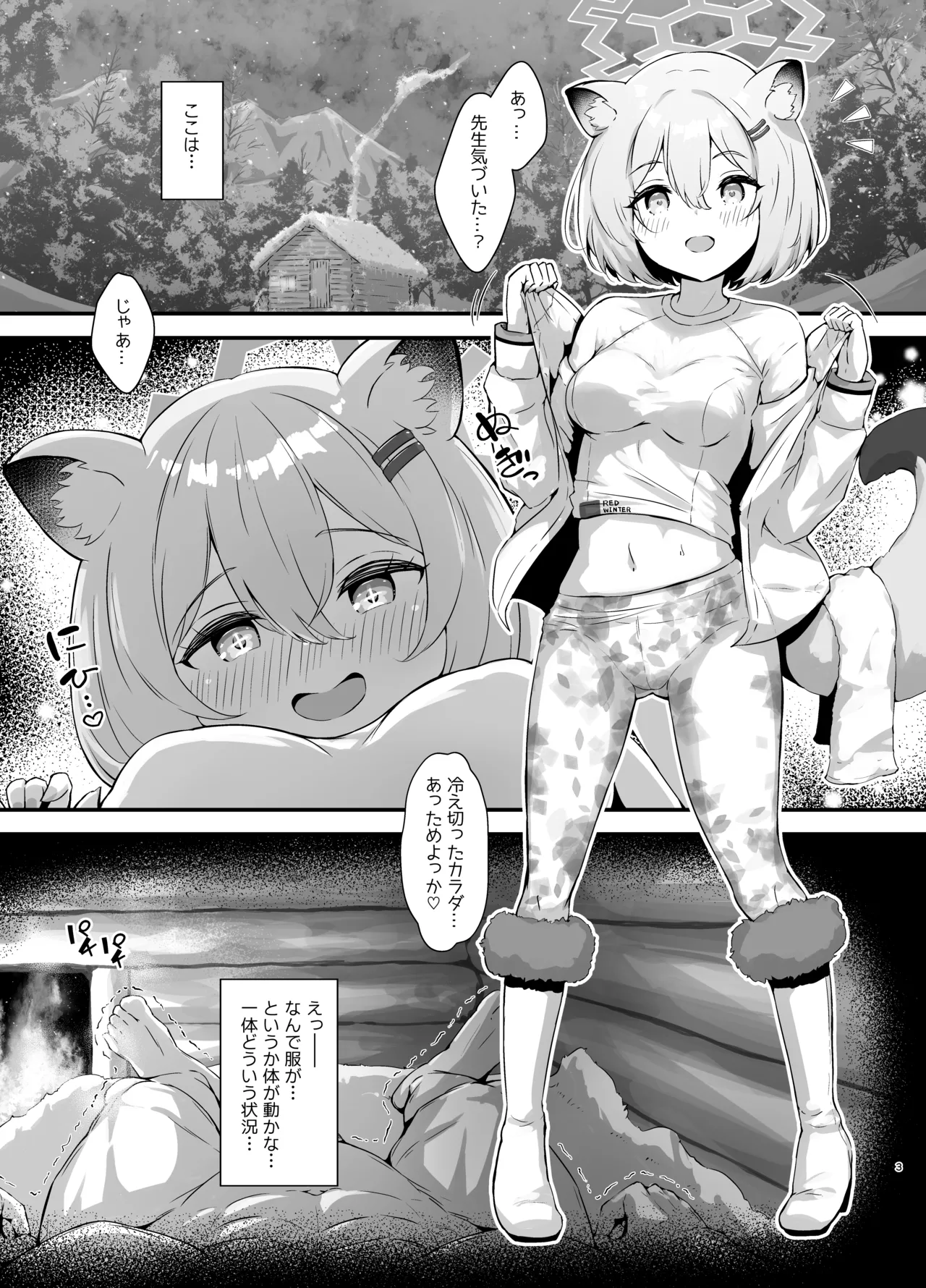 Preview page 3