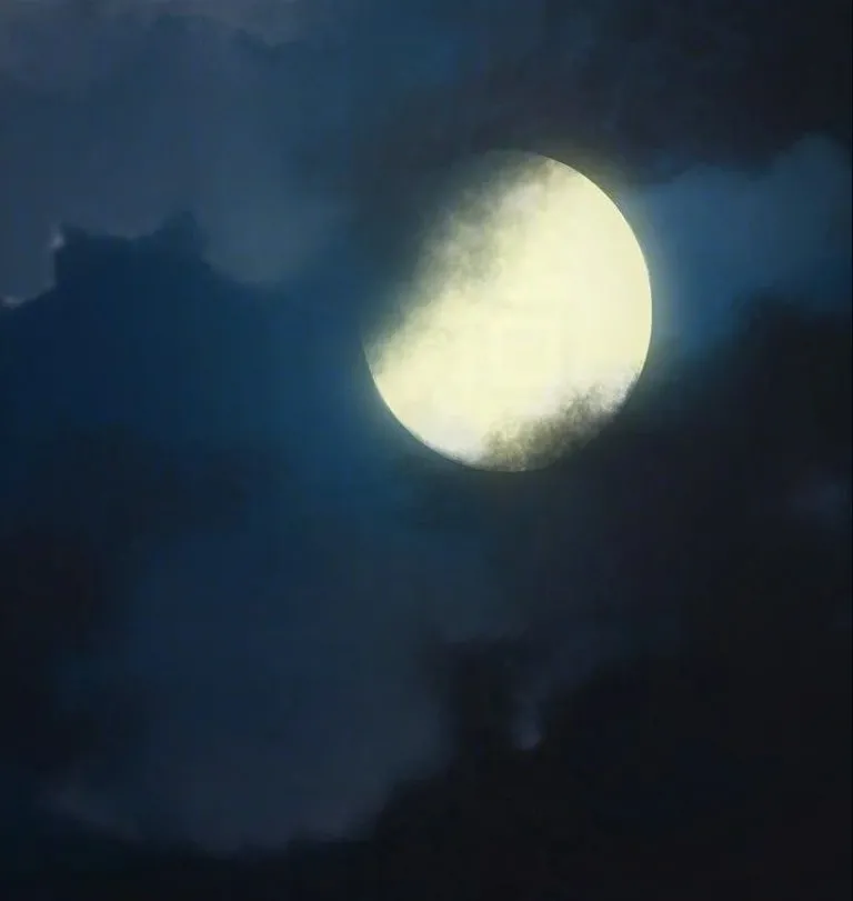 [Active Volcano] Queen Bee - Chapter 61-64 - Seonyeong's Corruption Mom NTR (7) - Page 216