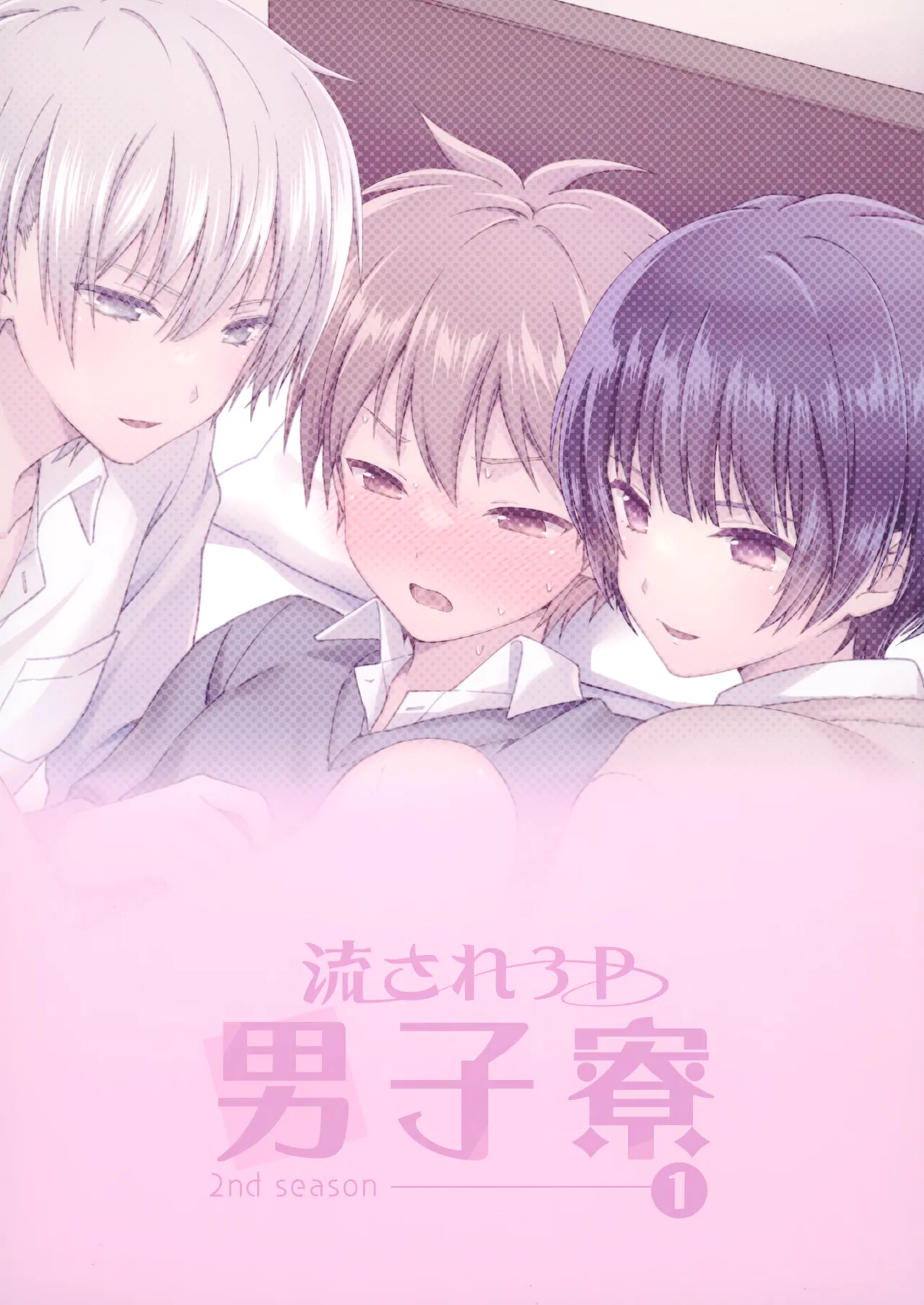 Nagasare 3P Danshi Ryou 1 - Page 30