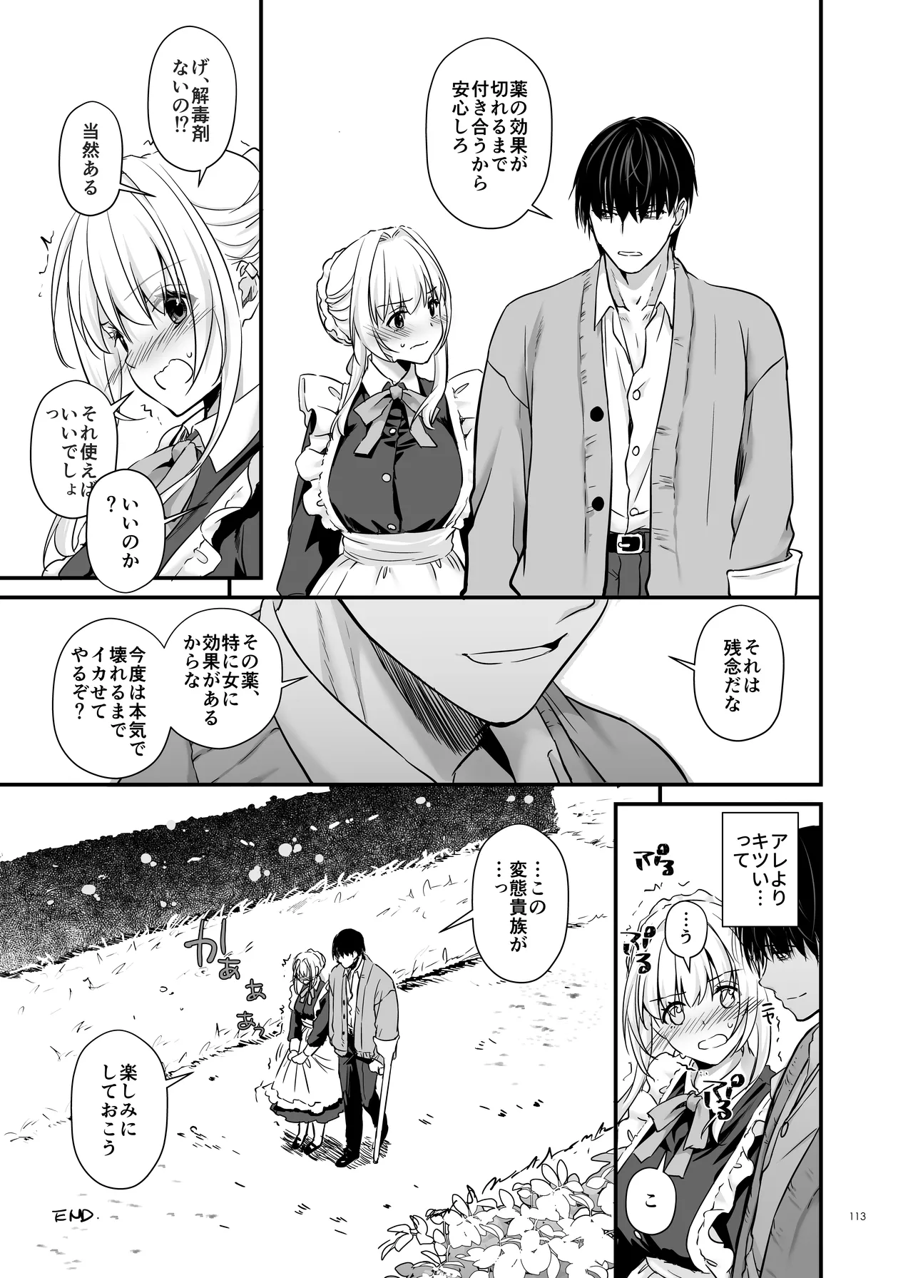 Tekikoku Kizoku no Shuchaku Dekiai - Page 113