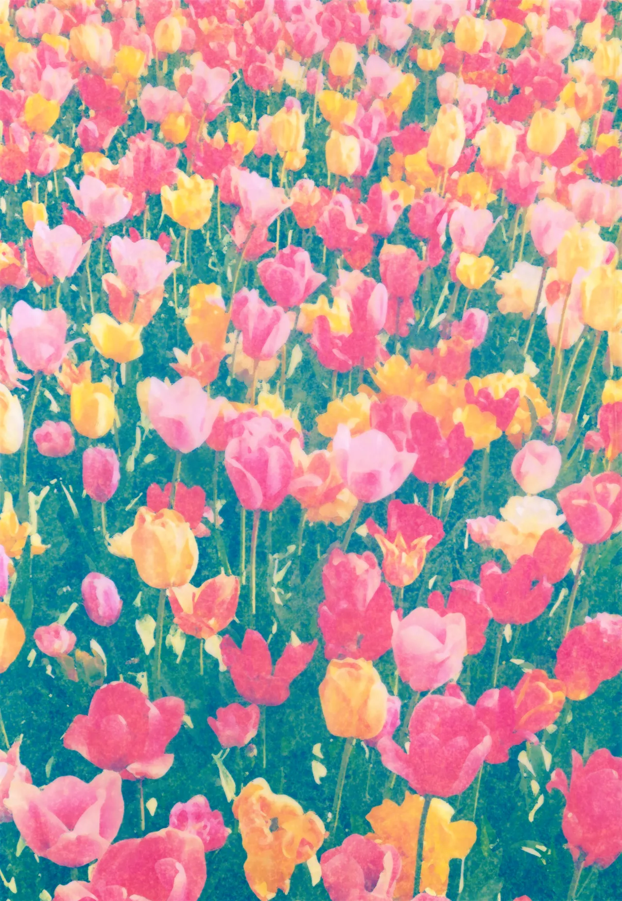 Kono Kimochi ni Namae o Tsukeyou. - Page 2