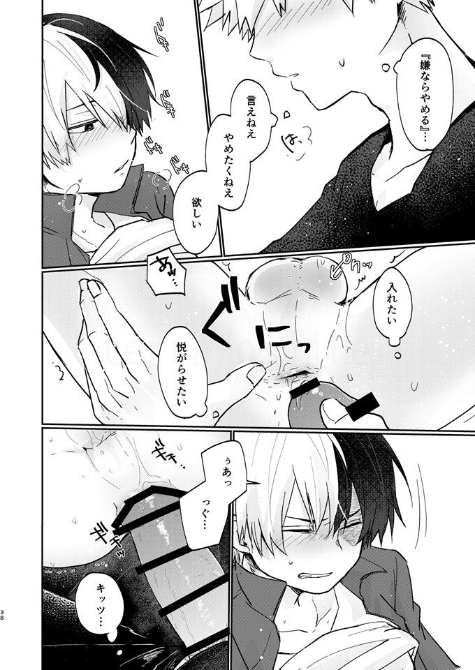 透明バイパス - Page 36