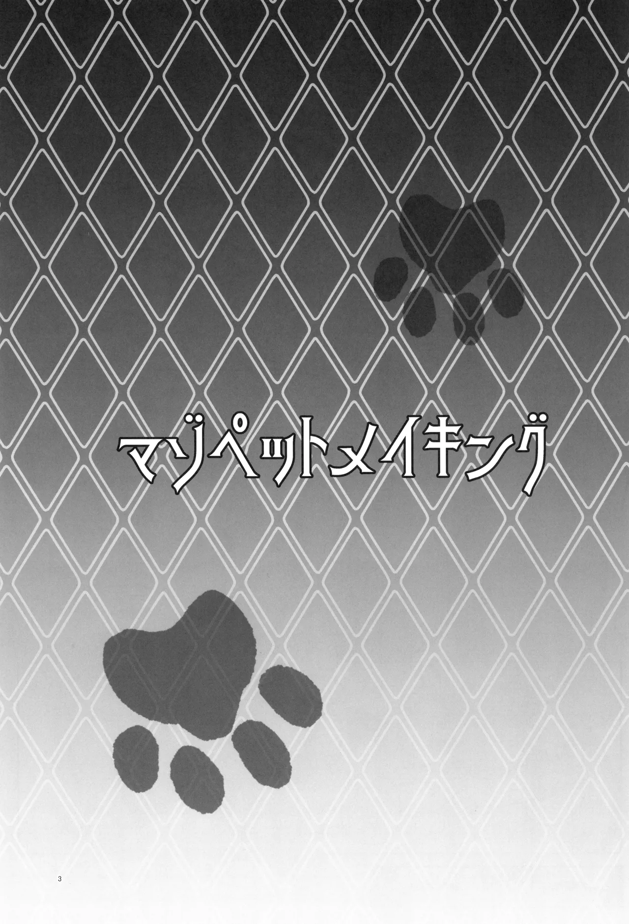 Maso Pet Making + Paper | The Making of a Masochistic Pet - Page 3