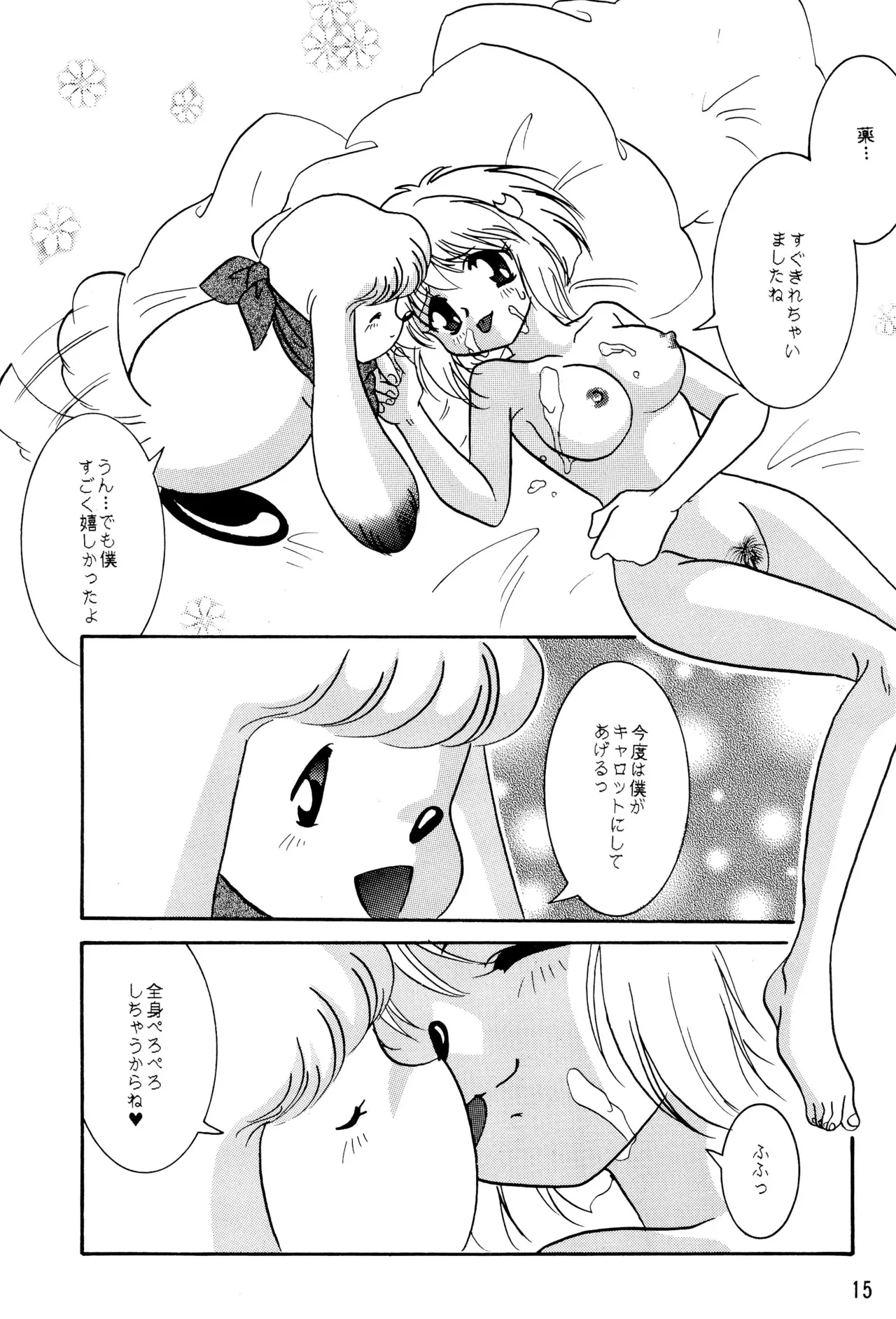 Page 17 of (CR22) [RARE DIAMOND (Amagi Yuu)] POLON de POLON (Kaerunyo Panyon)