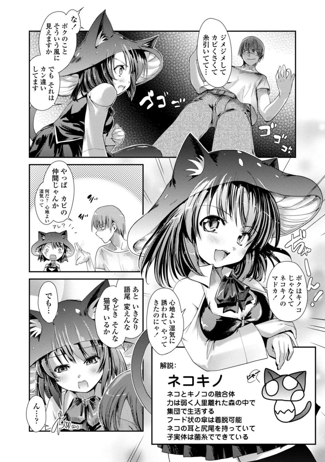 Nekokino to Ame no Machi - Page 12