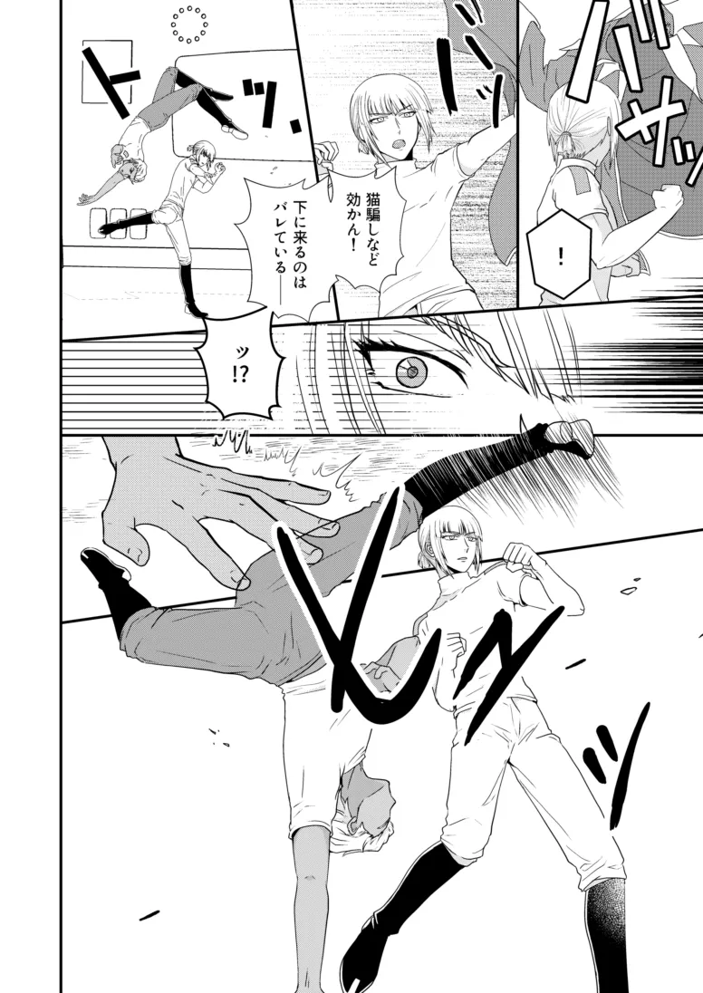 Page 15 of [SFZR (Amatsuki Nao)] Hiyoku no Tori, Renri no Kizuna (Gundam SEED DESTINY) [Digital]