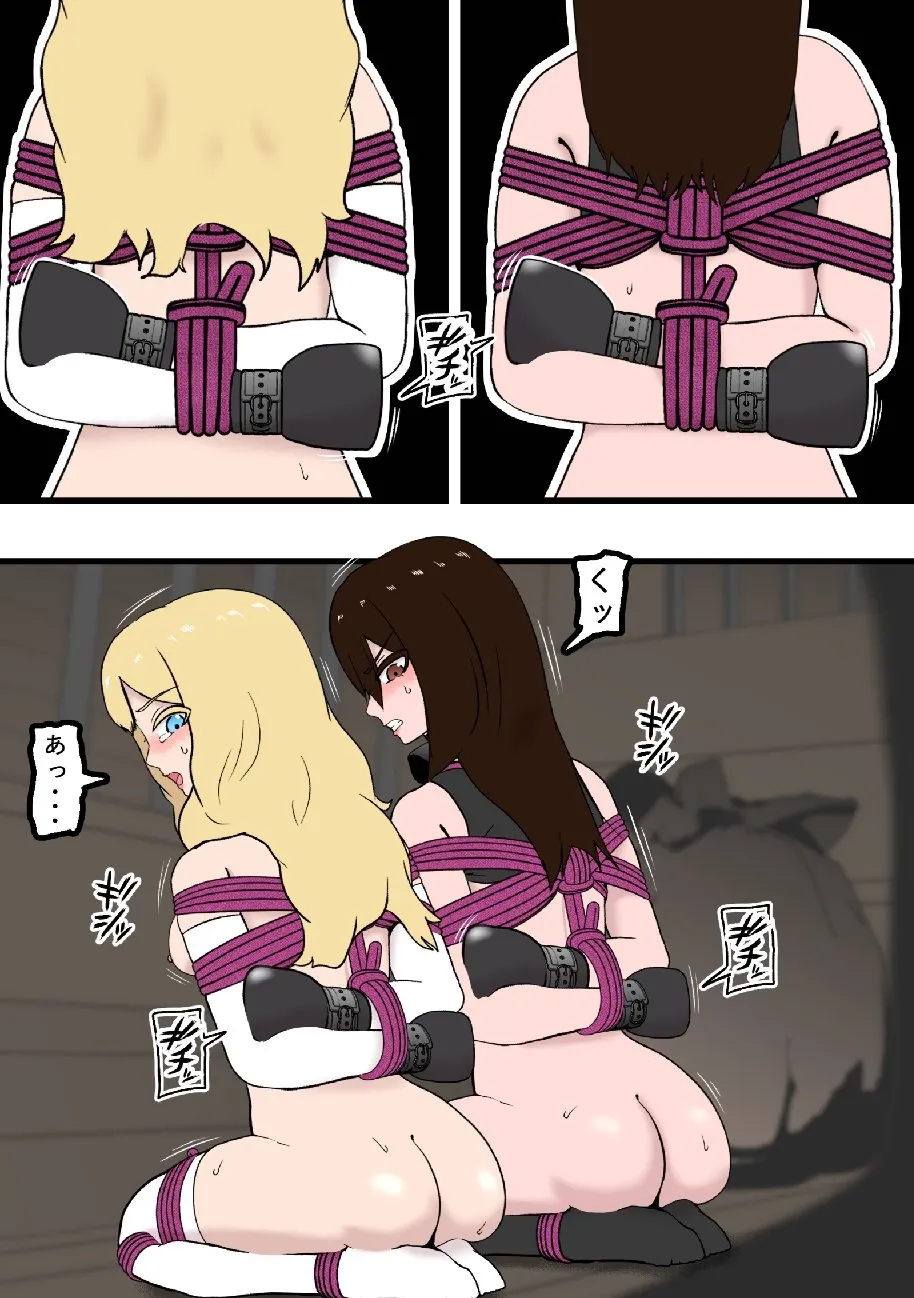 騎士・姫敗北拘束記録 - Page 11