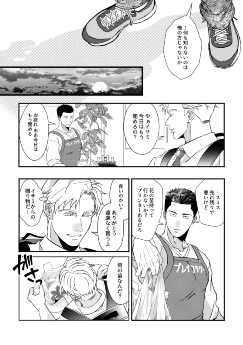 - Pansies in love - Page 21