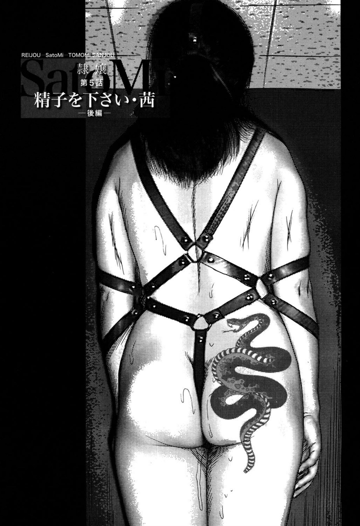 Reijou Satomi page 79 - piercing bondage hentai manga - read online free
