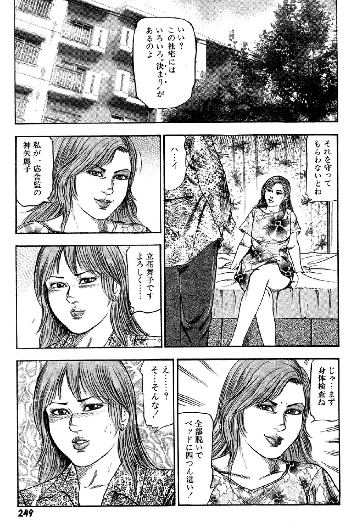 Niizuma・Ryoujokusiiku - Page 249