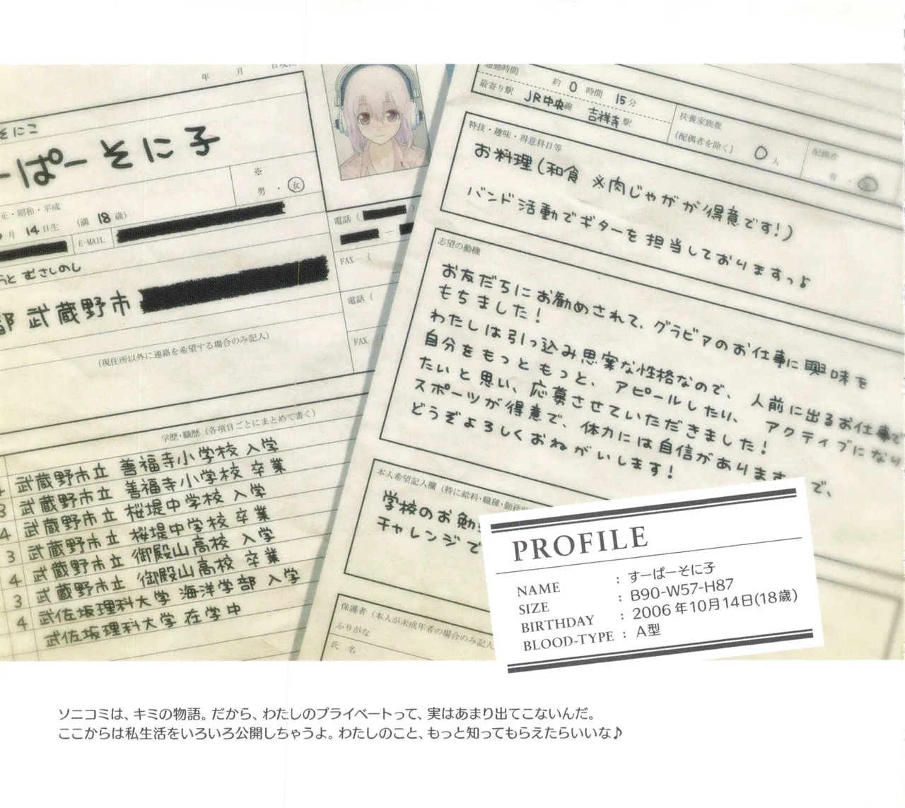 Sonicomi Limited Edition Super Sonico Private Book page 15 featuring suzu fujimi - artbook hentai manga - read online free