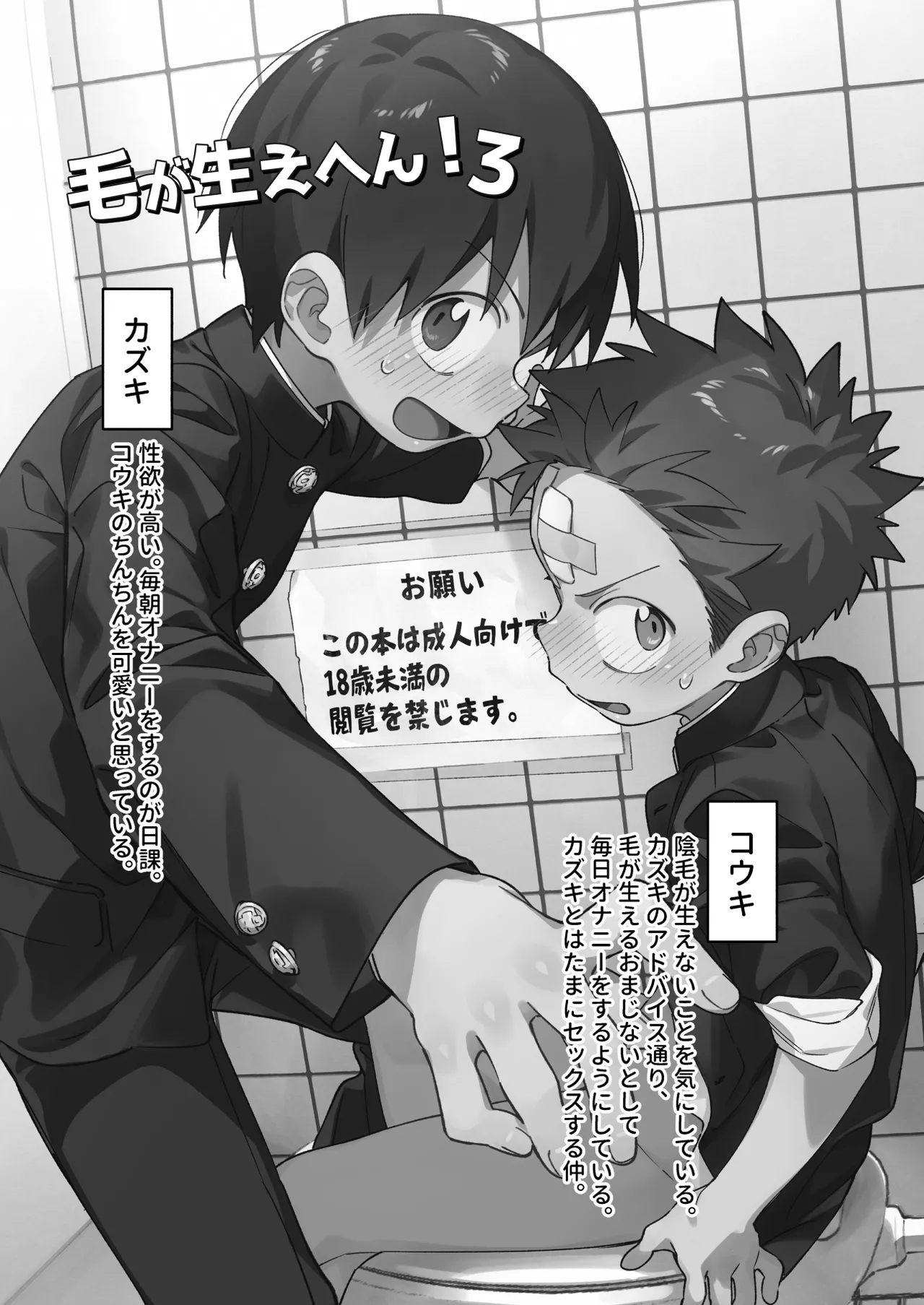 Ke ga Gaehen! 3 - Page 3