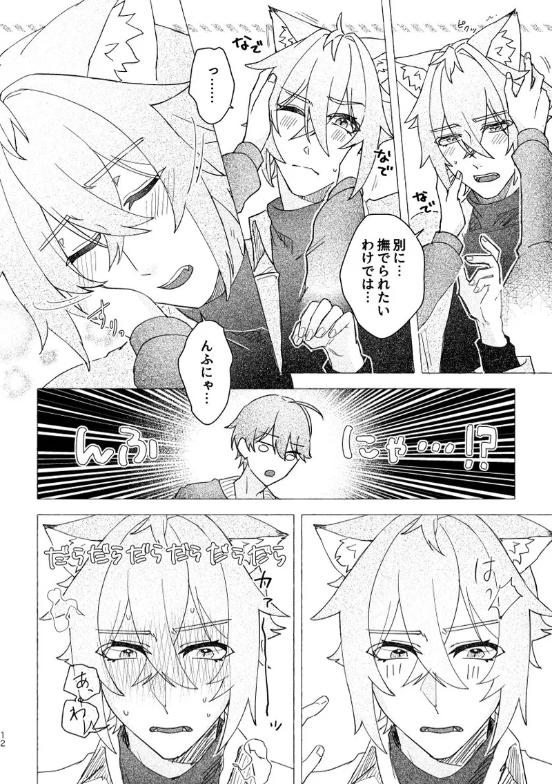 Seth no Neko Bubun, Okarishimasu - Page 12