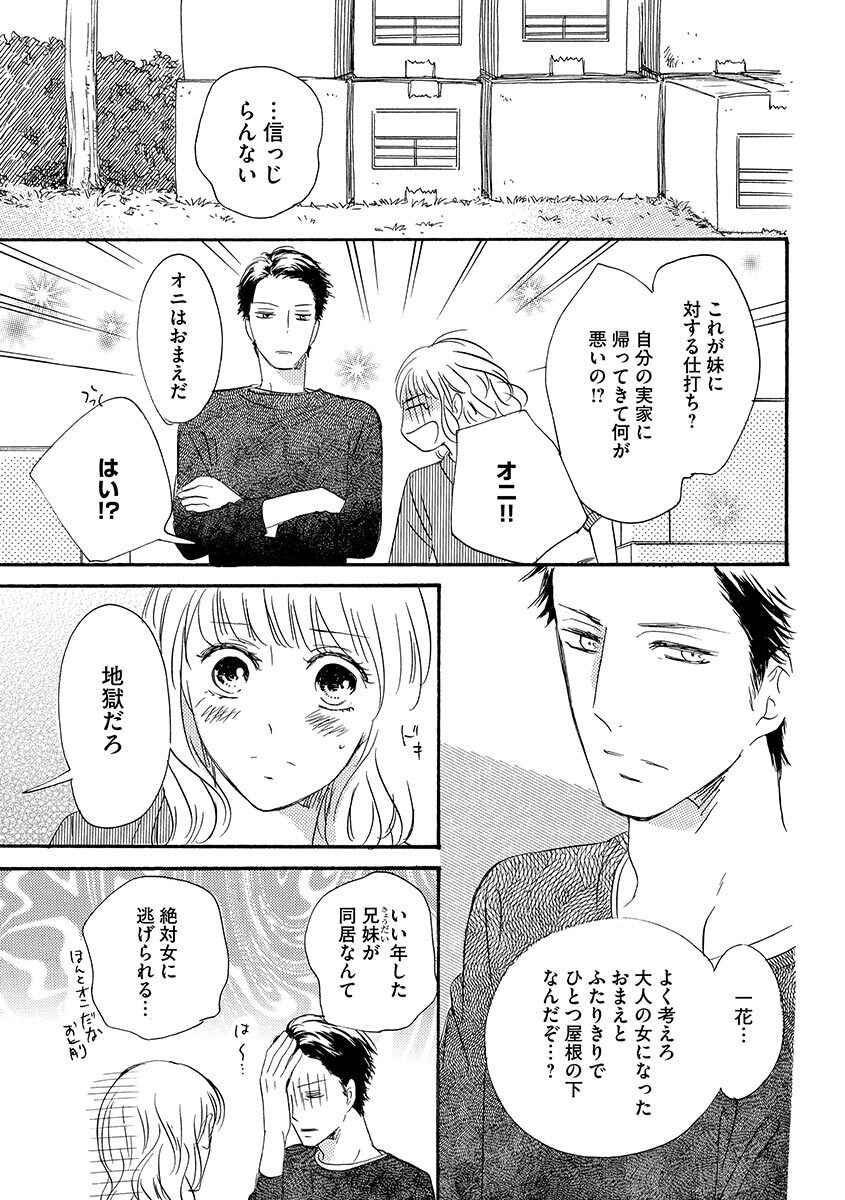 Ani no Koibito - Page 12