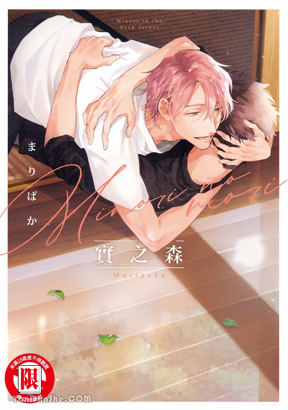 Preview page 1