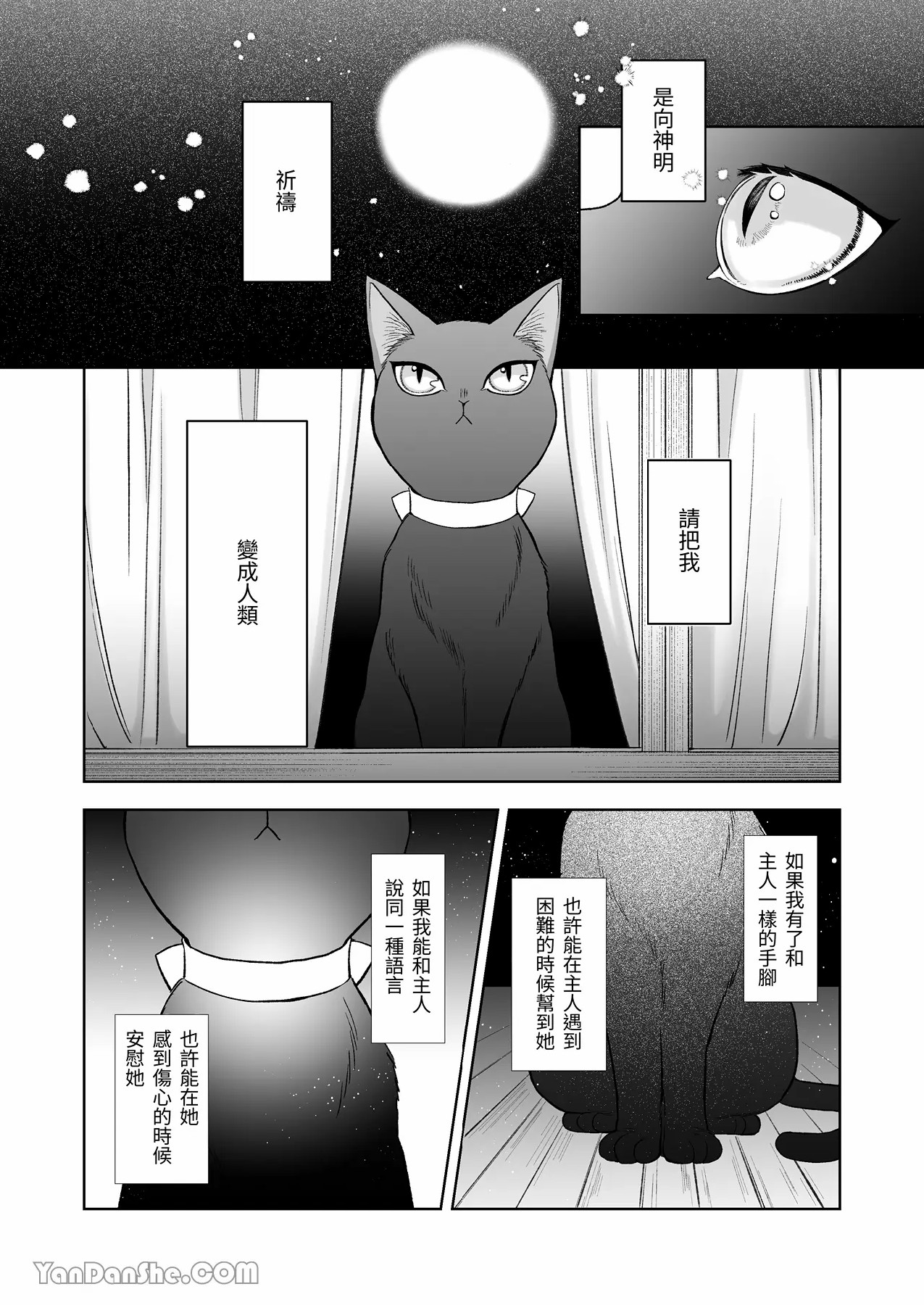 【丹下】黑貓小黑的報恩既笨拙又放肆 - Page 15