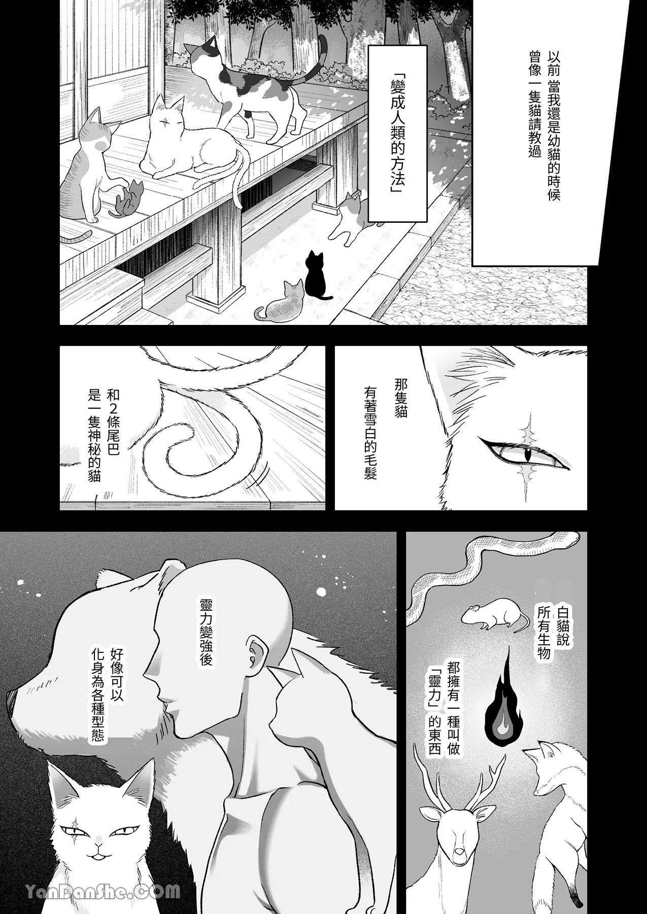 【丹下】黑貓小黑的報恩既笨拙又放肆 page 16 original parody - sole female sole male hentai manga - read online free