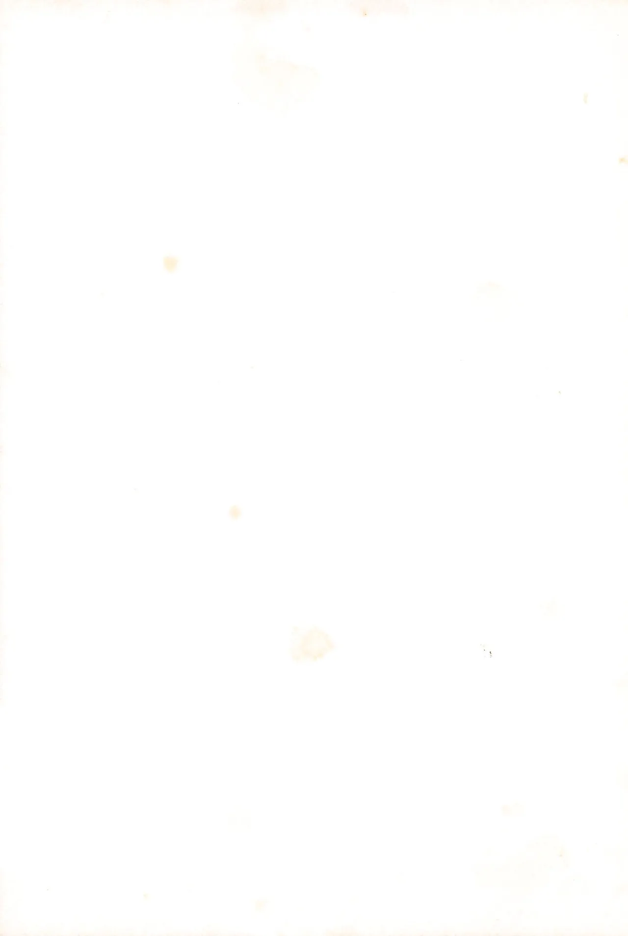 FRACTURE 3 page 123 original parody - kemonomimi tail hentai manga - read online free