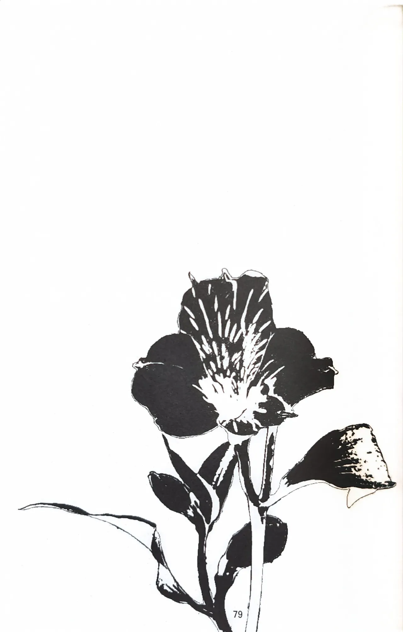 八神DV再録集2 page 76 featuring dante devil may cry parody - anal anal intercourse hentai manga - read online free