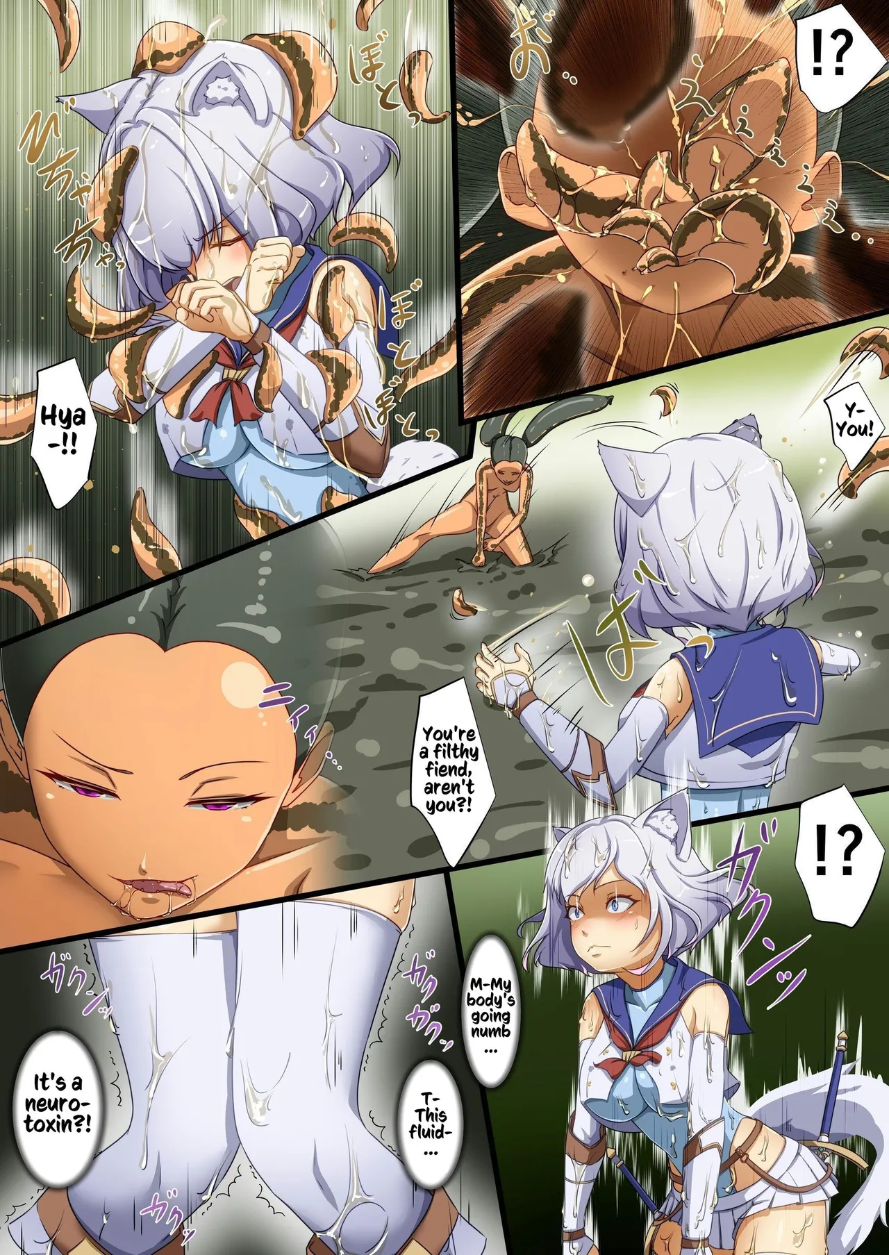 Hakurou Kenshi Hati-chan no Ecchi na Bouken no Sho | White Wolf Swordswoman's Erotic Adventure - Page 17