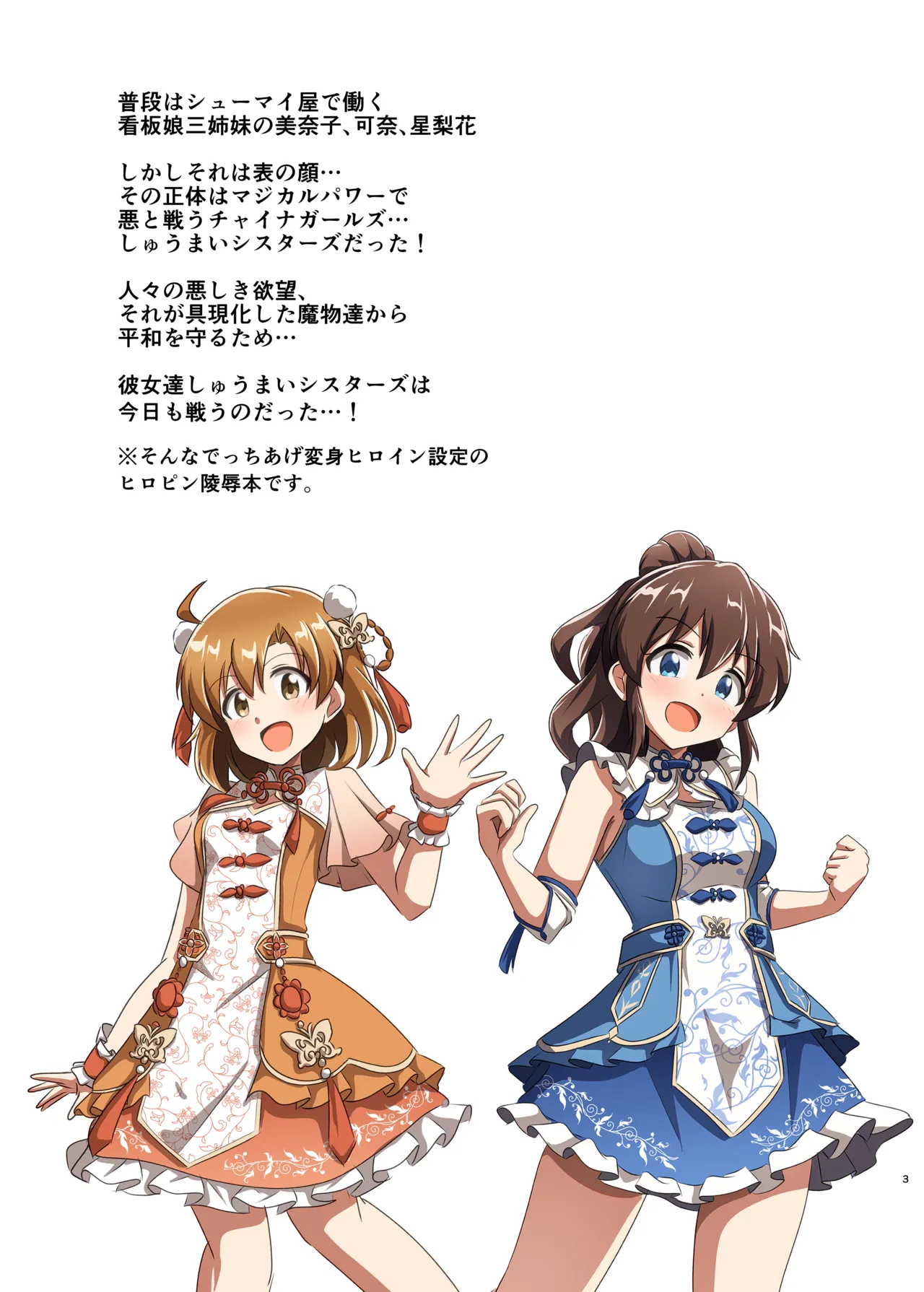 Preview page 2