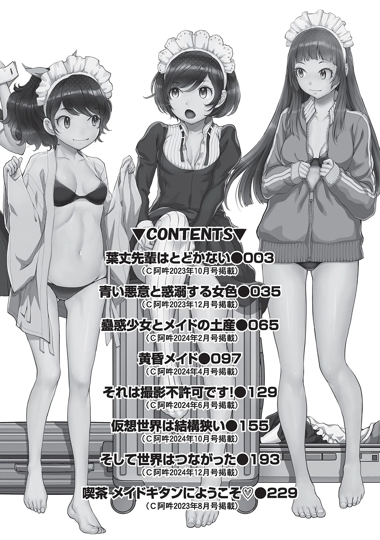 Cosplay Maid ga Ikagawashii - Page 3