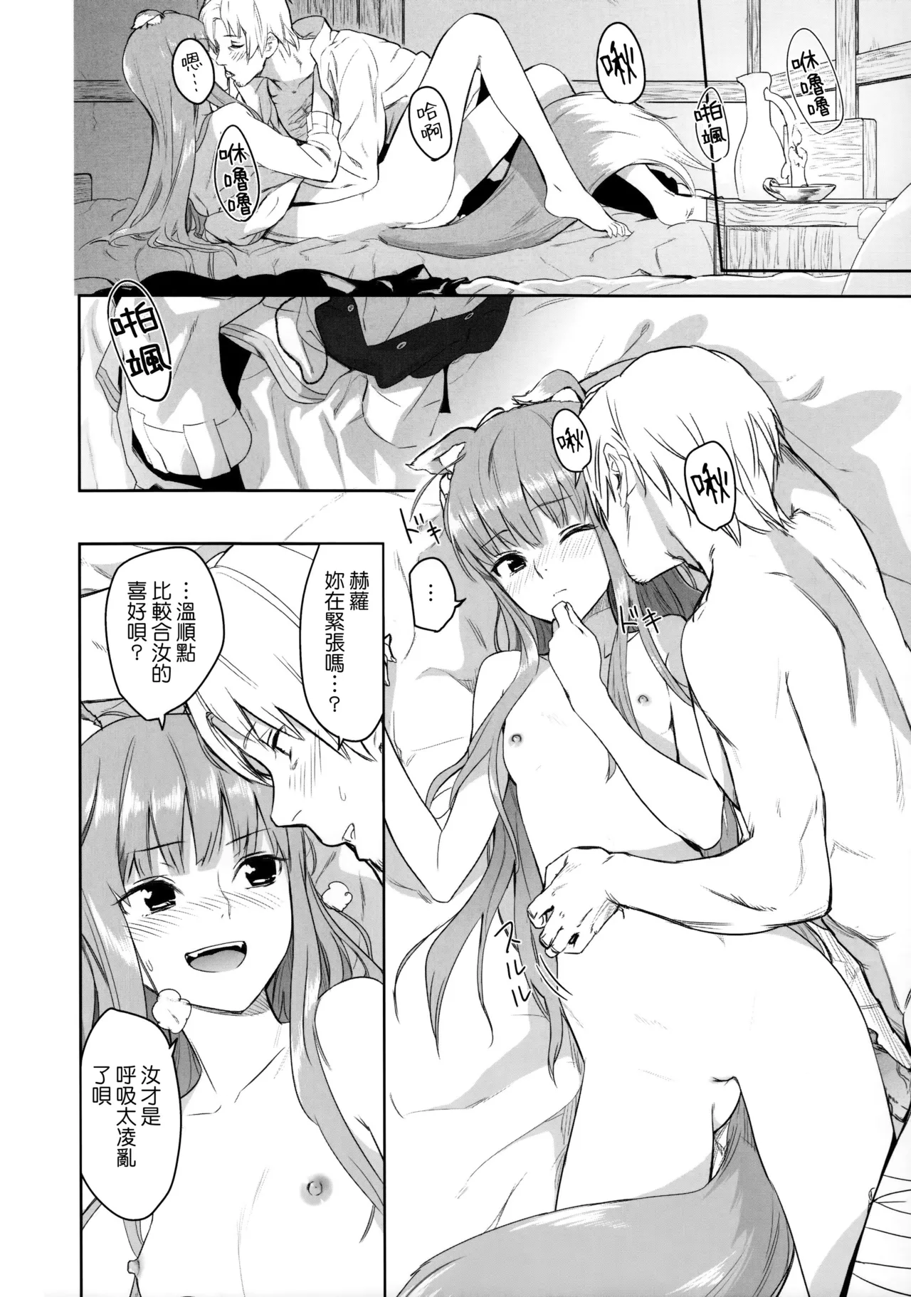 Page 21 of (C83) [Ajisaidenden (Kawakami Rokkaku, Takanashi Rei)] Harvest II (Spice and Wolf) [Chinese] [Genesis漢化]