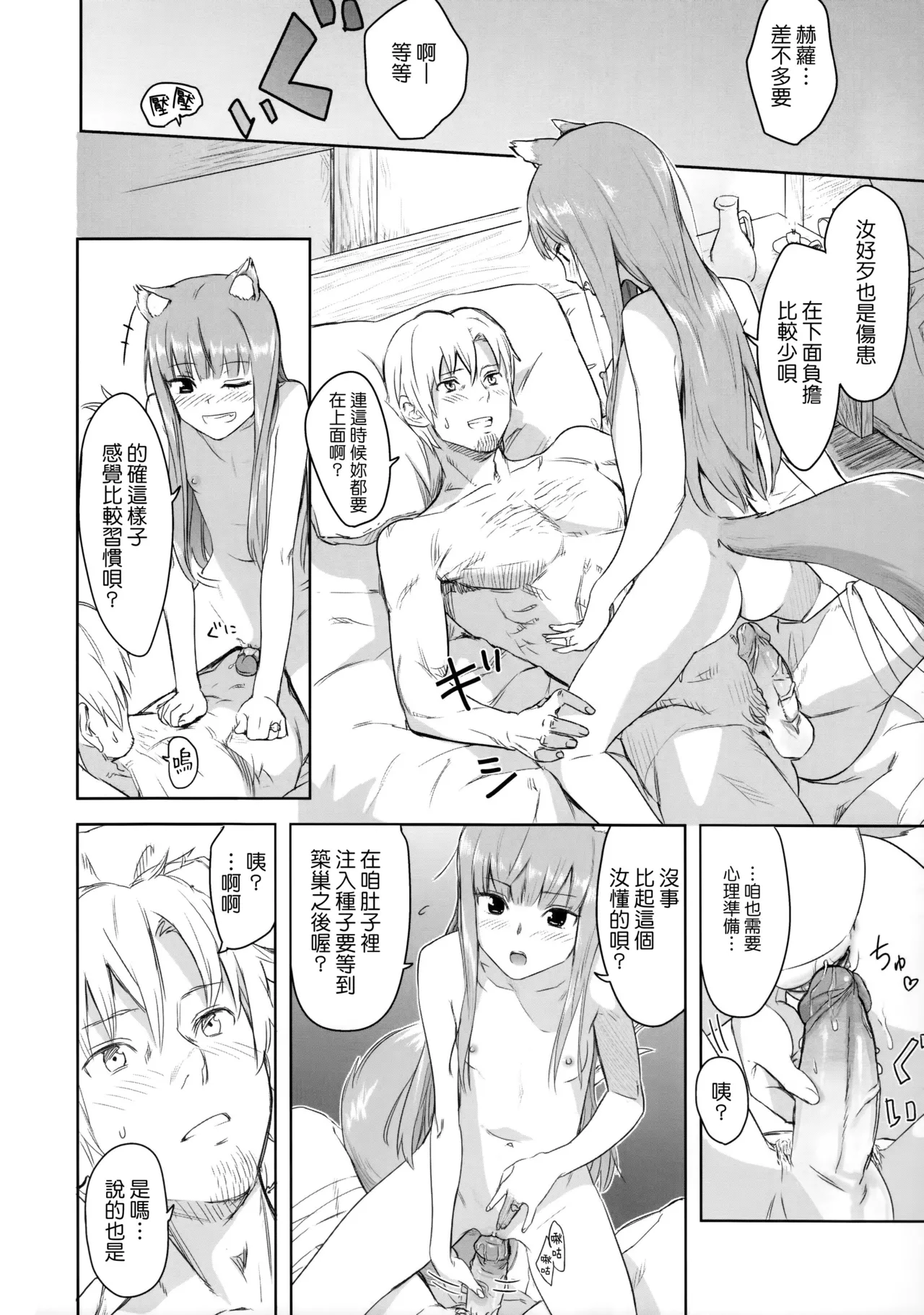 Page 25 of (C83) [Ajisaidenden (Kawakami Rokkaku, Takanashi Rei)] Harvest II (Spice and Wolf) [Chinese] [Genesis漢化]