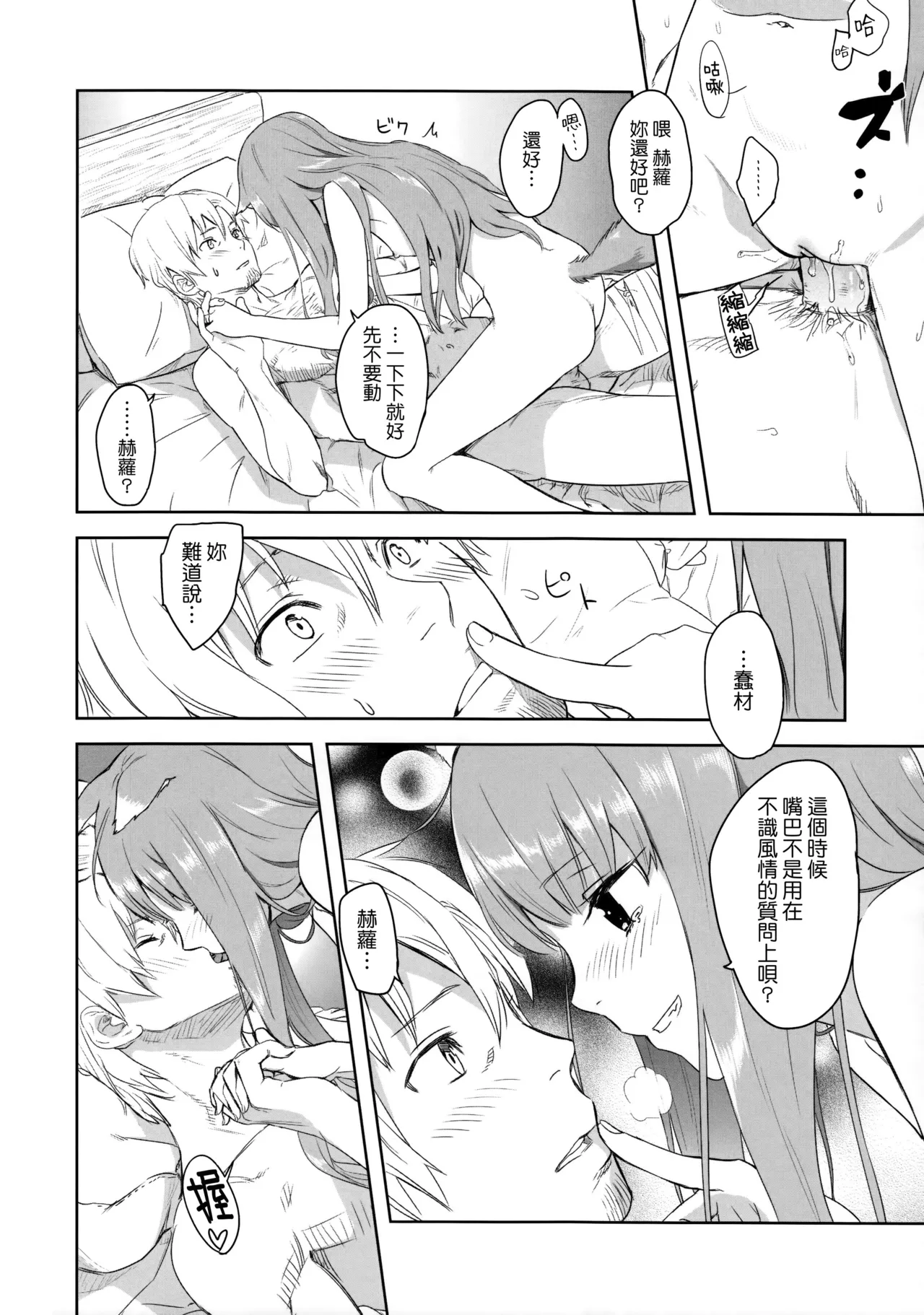 Page 27 of (C83) [Ajisaidenden (Kawakami Rokkaku, Takanashi Rei)] Harvest II (Spice and Wolf) [Chinese] [Genesis漢化]