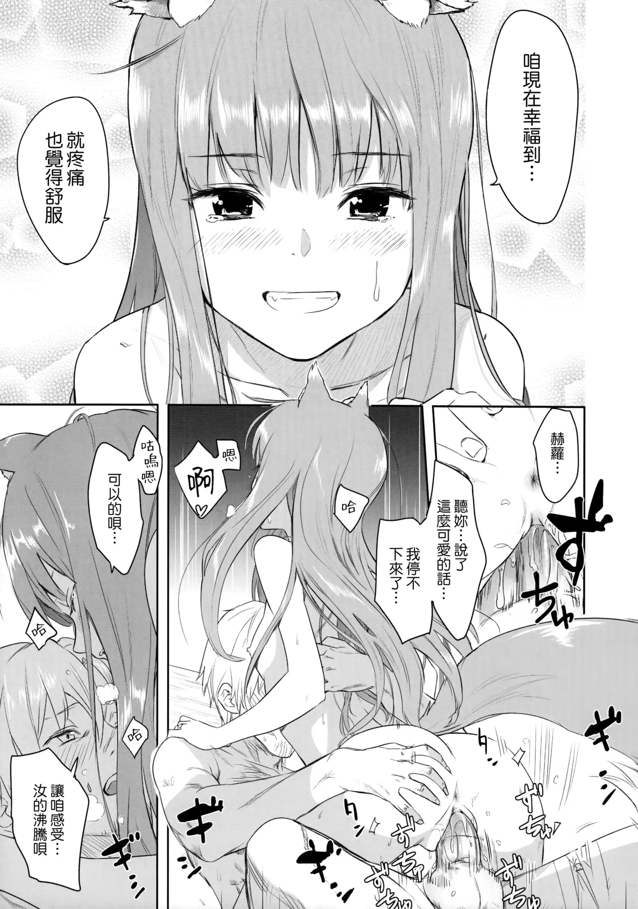 Page 30 of (C83) [Ajisaidenden (Kawakami Rokkaku, Takanashi Rei)] Harvest II (Spice and Wolf) [Chinese] [Genesis漢化]