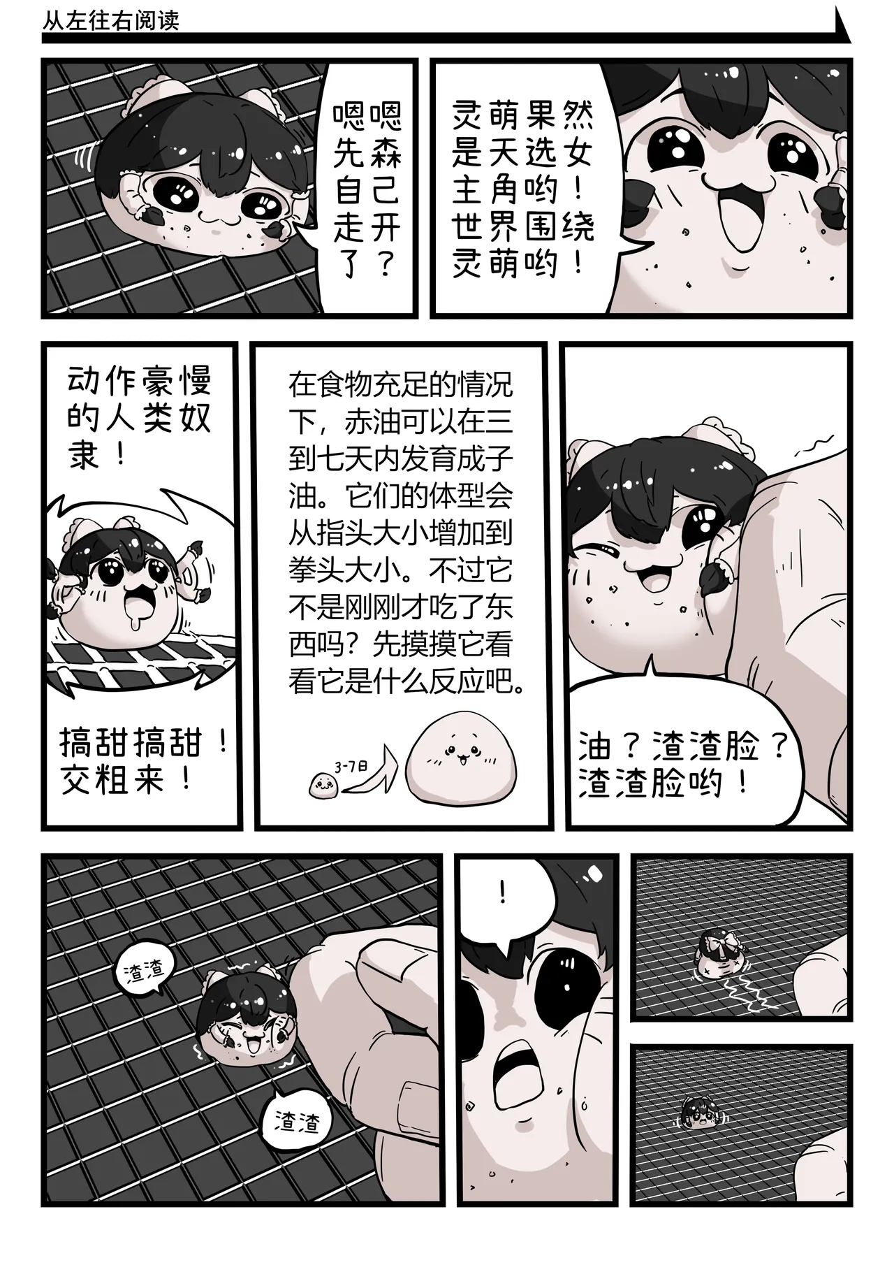 ［yukkuri］【zxy1147】简单饲养记录 - Page 9