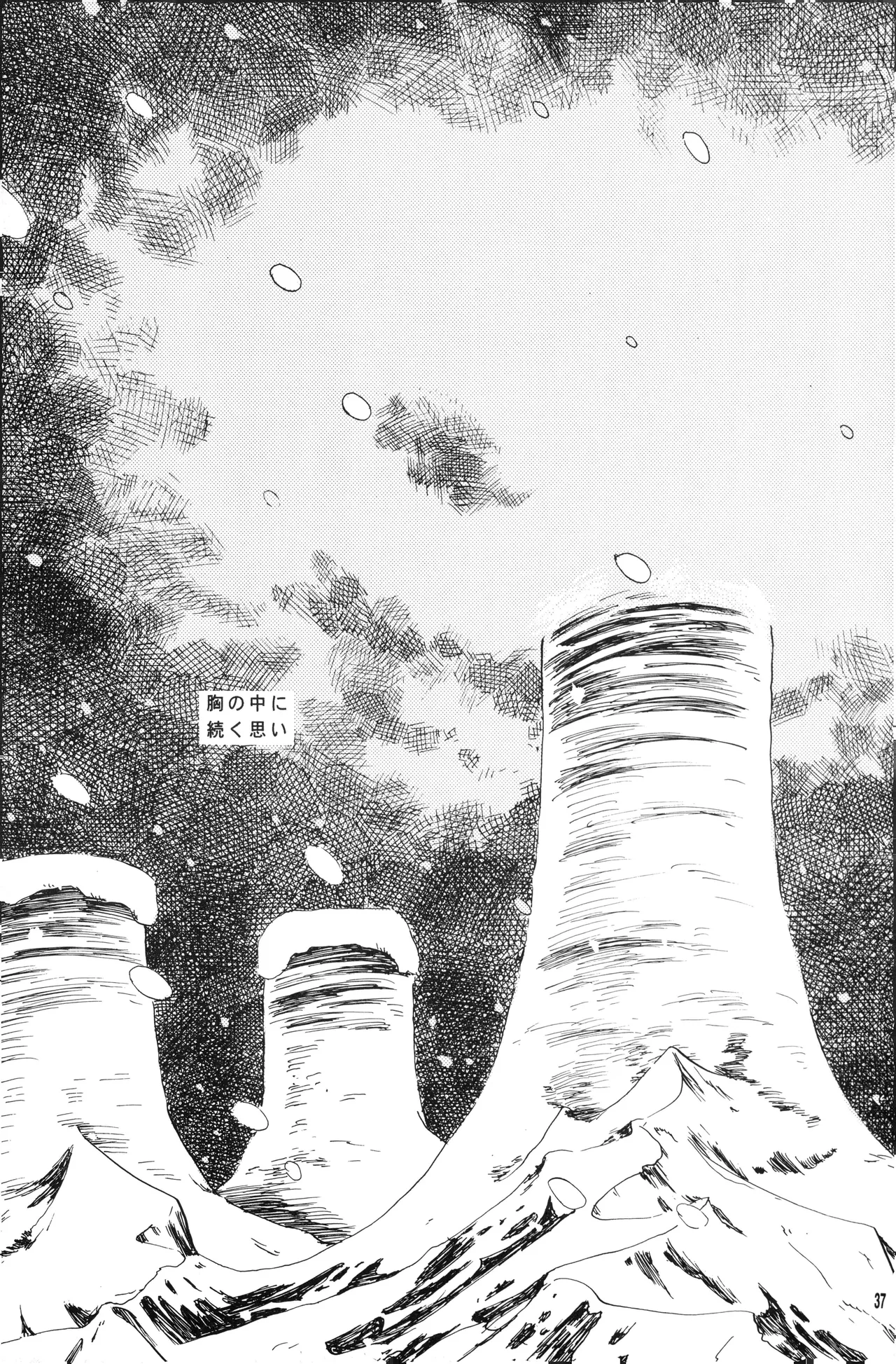 Page 36 of 泥花