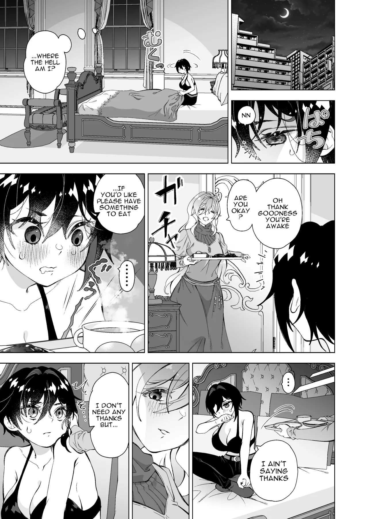 Page 3 of [Sakura Kanmikan (Sakura Manato)] Hiroi Neko | The Stray Cat [English]