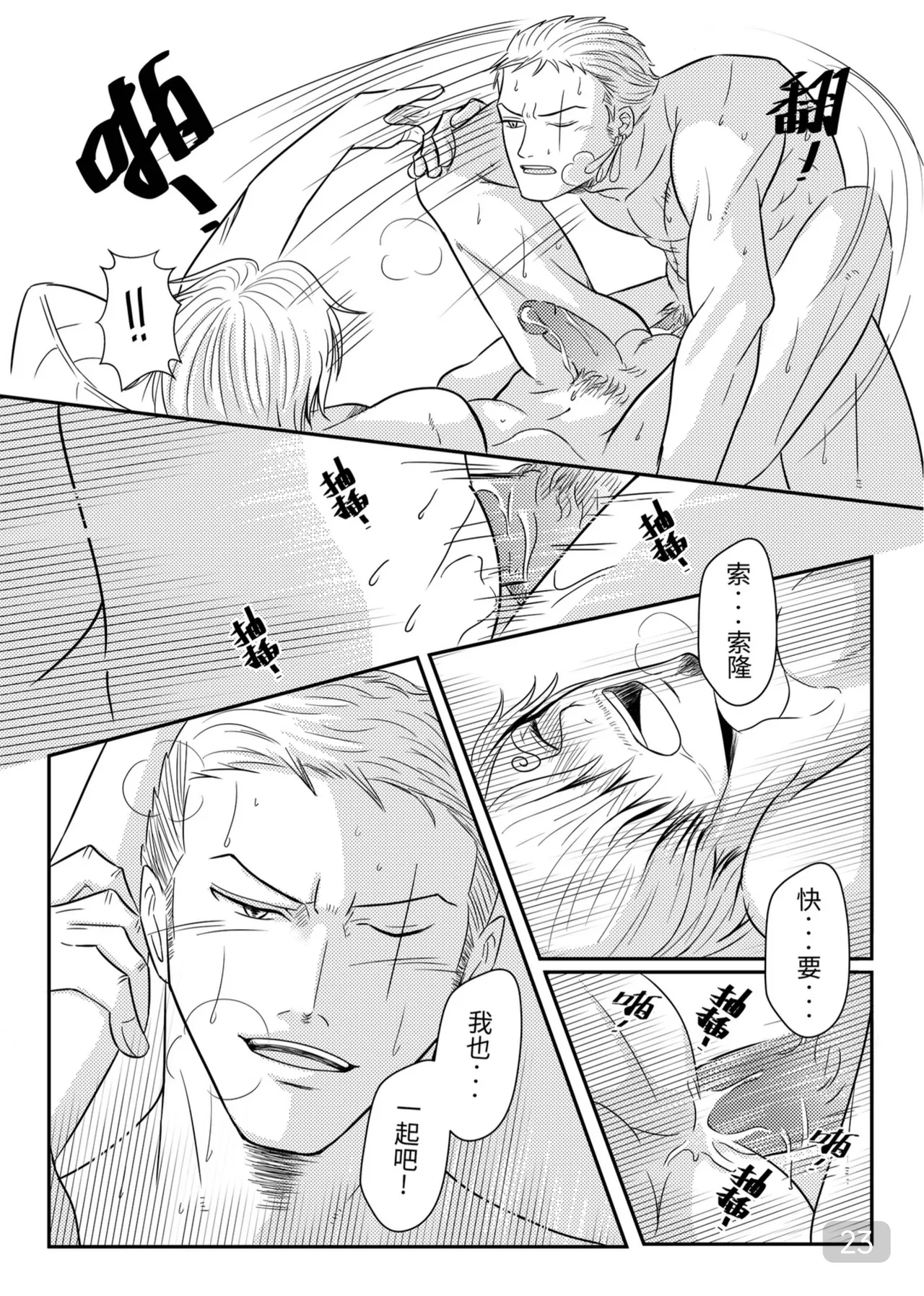 【九一三】海賊王ZS-並肩前行 - Page 23