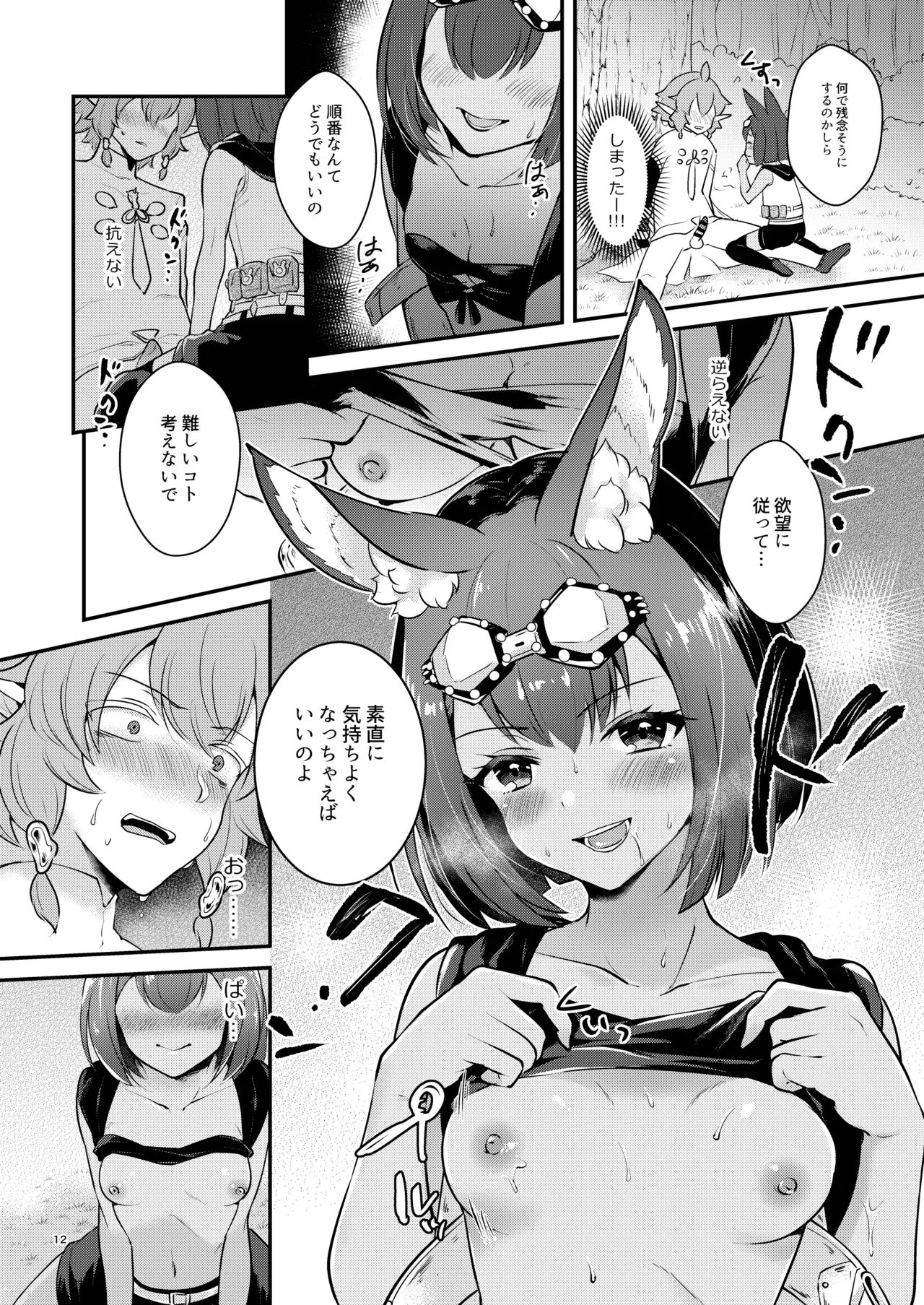 Hound-chan wa Ecchi ga Shitai. - Page 12