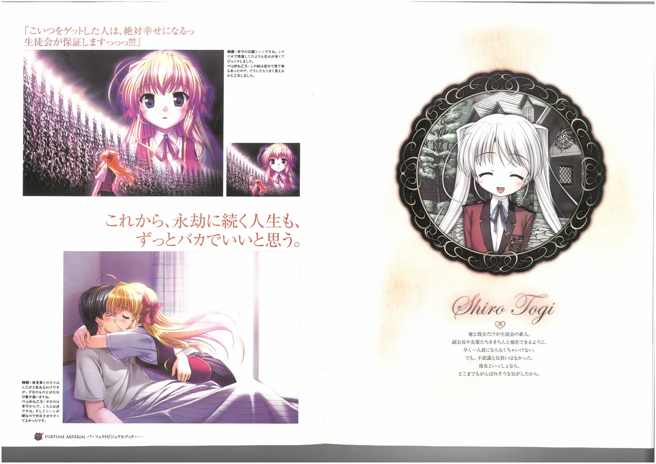 FORTUNE ARTERIAL PERFECT VISUAL BOOK - Page 43