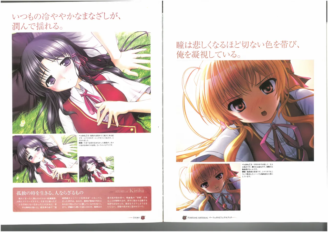 FORTUNE ARTERIAL PERFECT VISUAL BOOK - Page 47