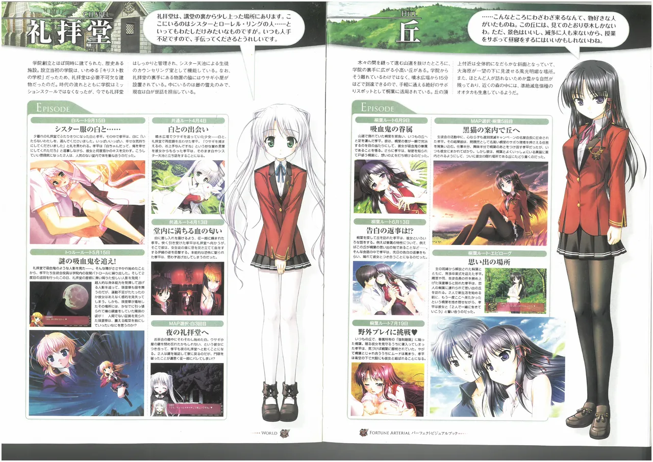 FORTUNE ARTERIAL PERFECT VISUAL BOOK - Page 54