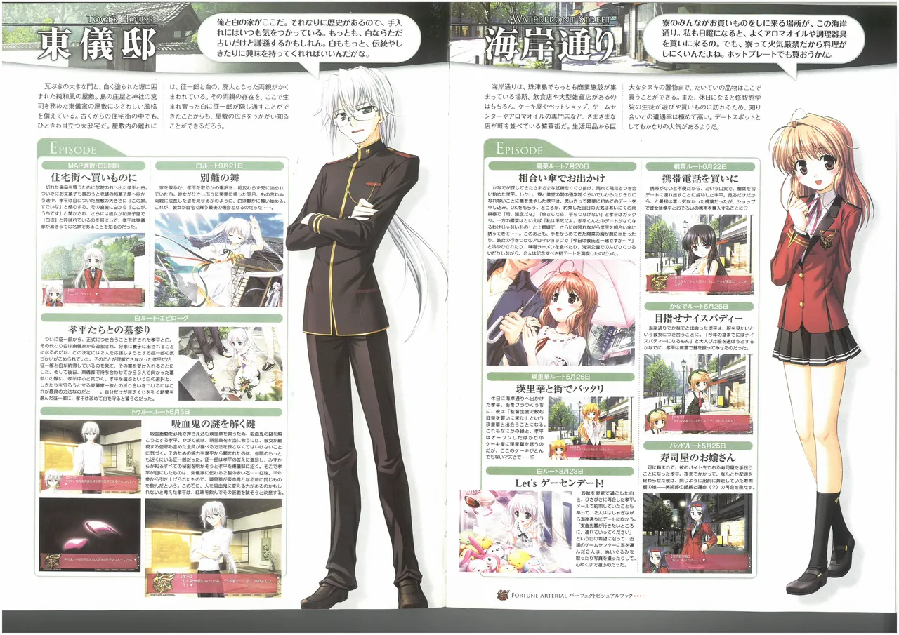 FORTUNE ARTERIAL PERFECT VISUAL BOOK - Page 56