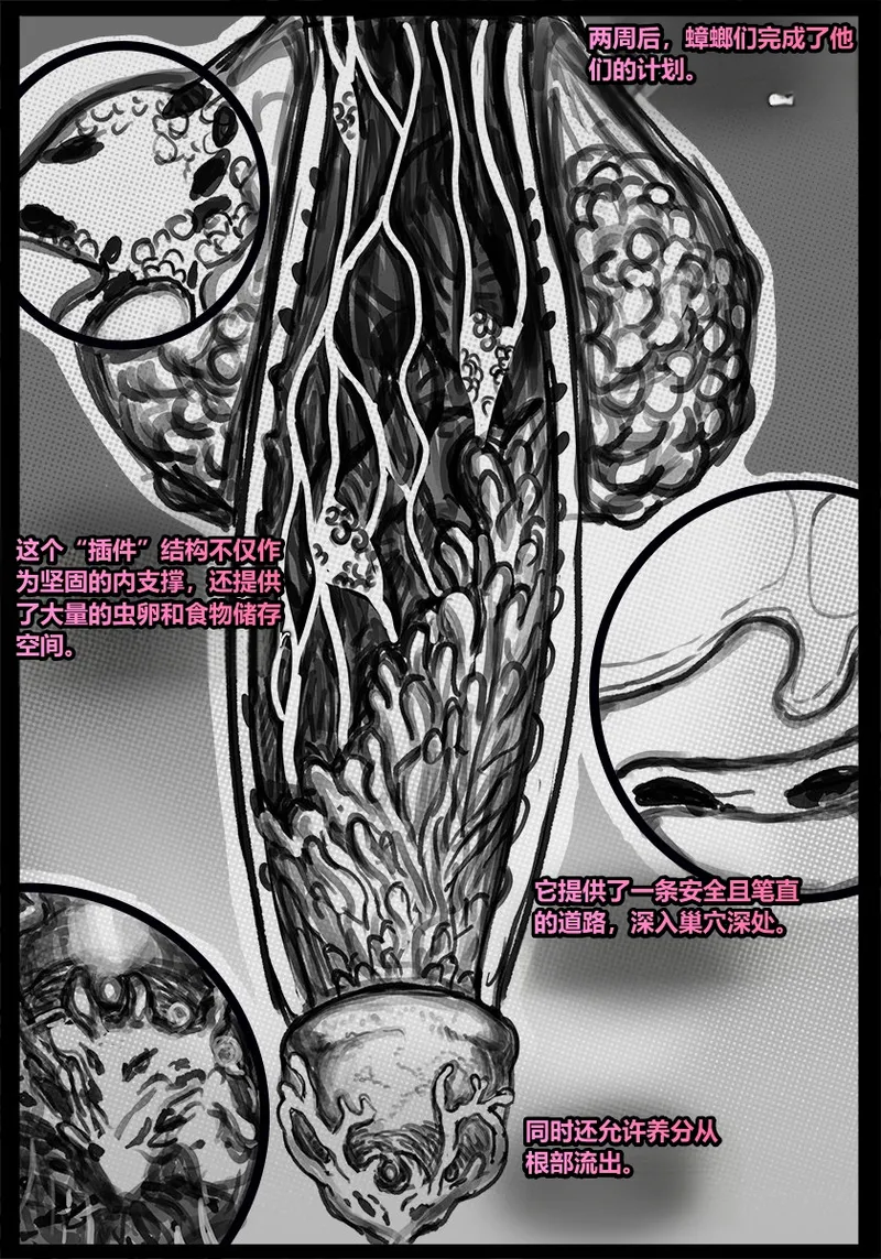 [Qusia] 请让鸡鸡远离虫子！(重口虫子慎入)Please keep your penis away from bugs! - Page 54