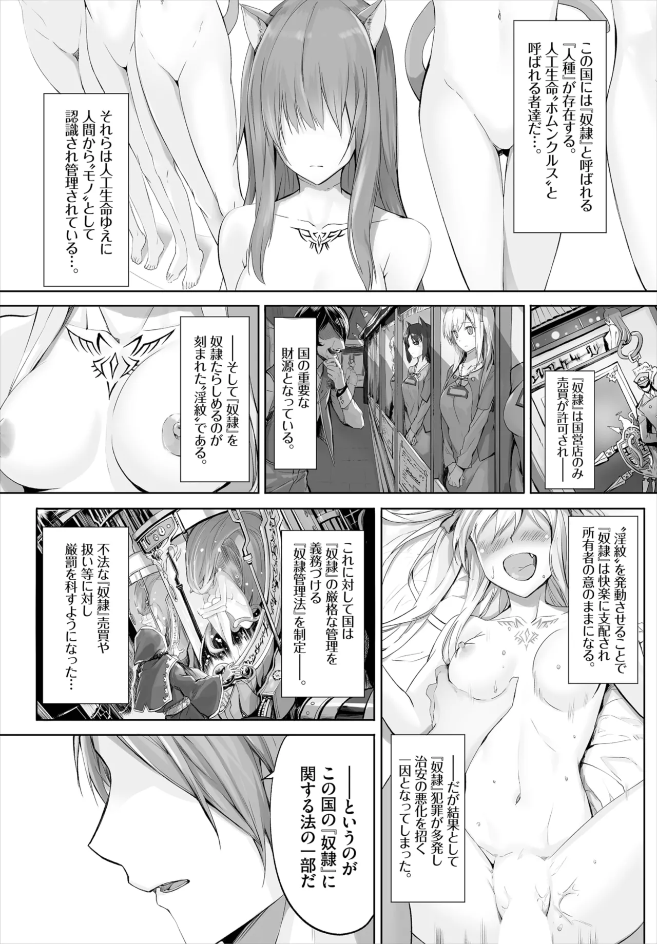 Page 2 of [Kyougoku Touya] Orokamono wa Nekomimi Dorei ni Izon suru ~Hajimete no Choukyou Seikatsu~ 01-35