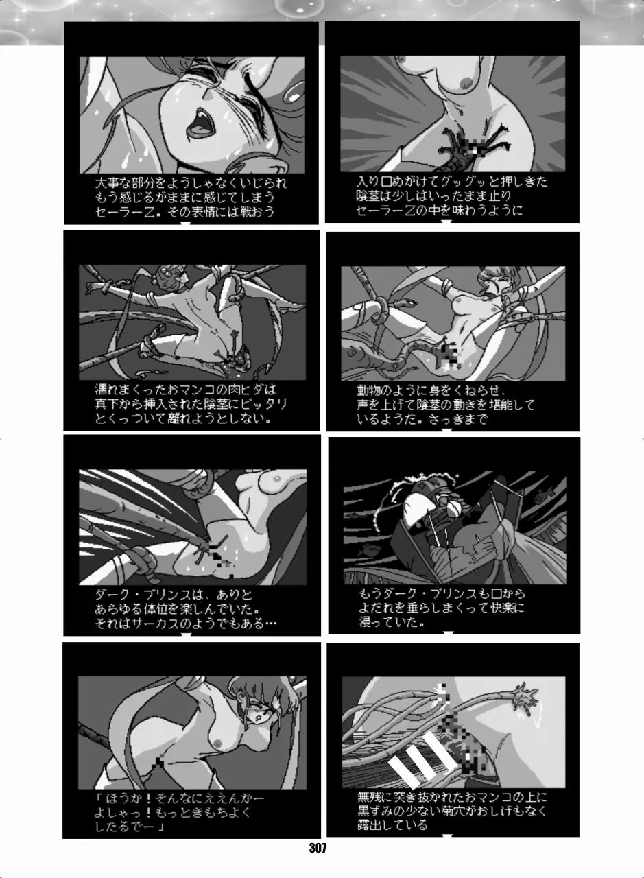 Sailor Moon Dokubon - Page 306