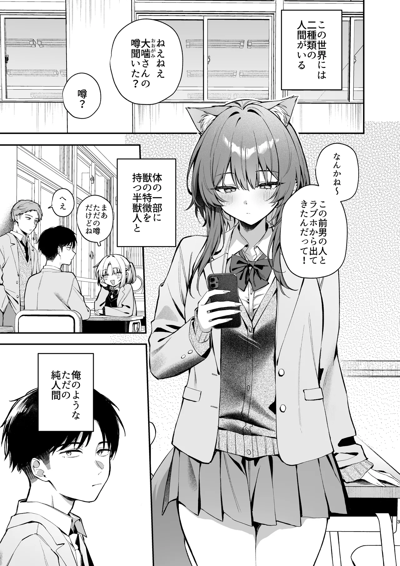 Preview page 3